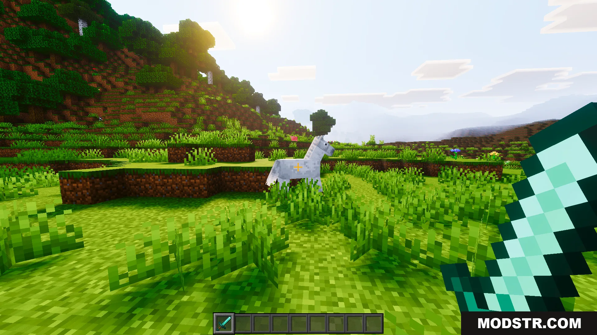 Player holding a diamond sword looking at a white horse in the field