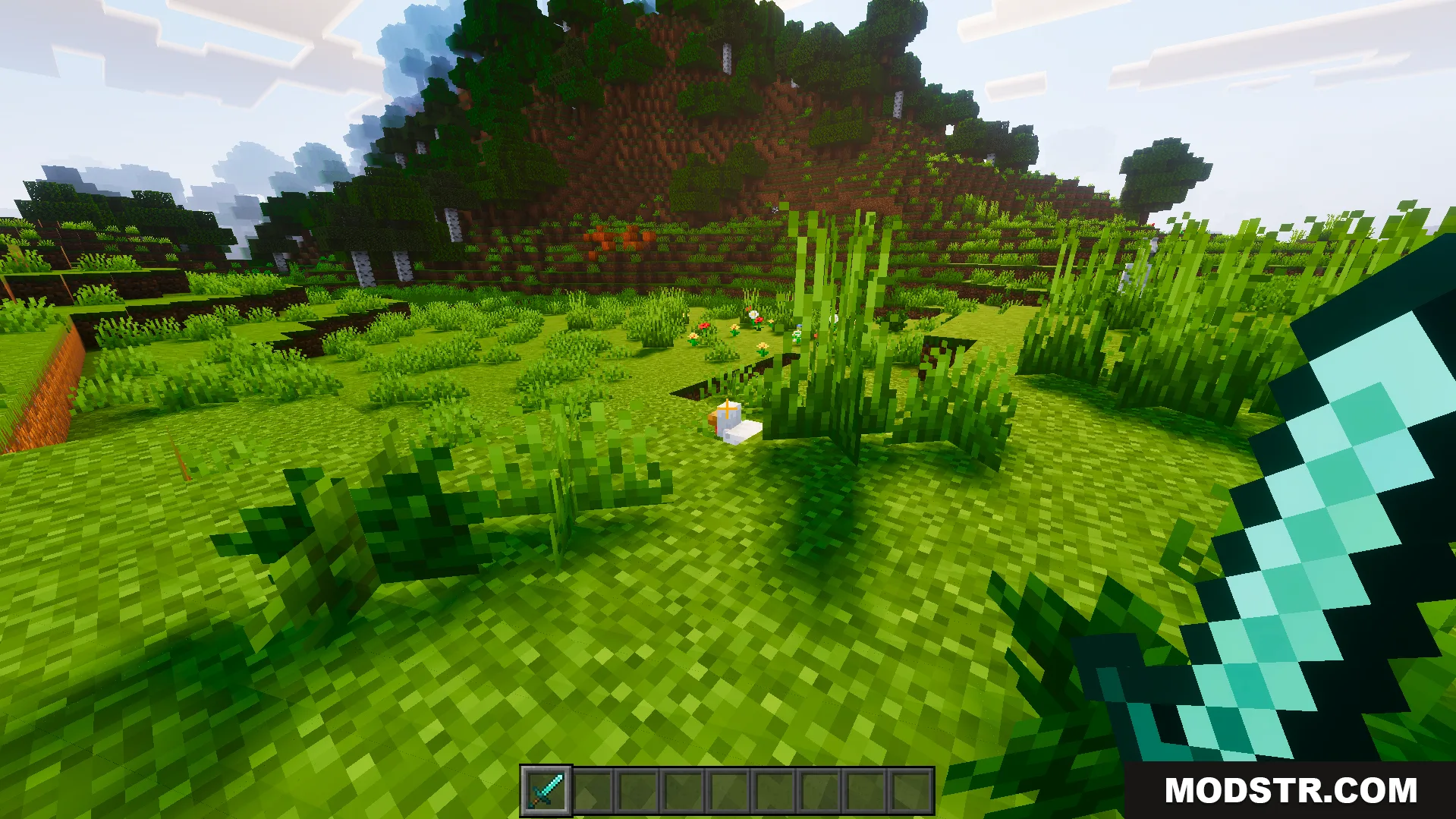 Player holding a diamond sword looking at a chicken in a grassy field