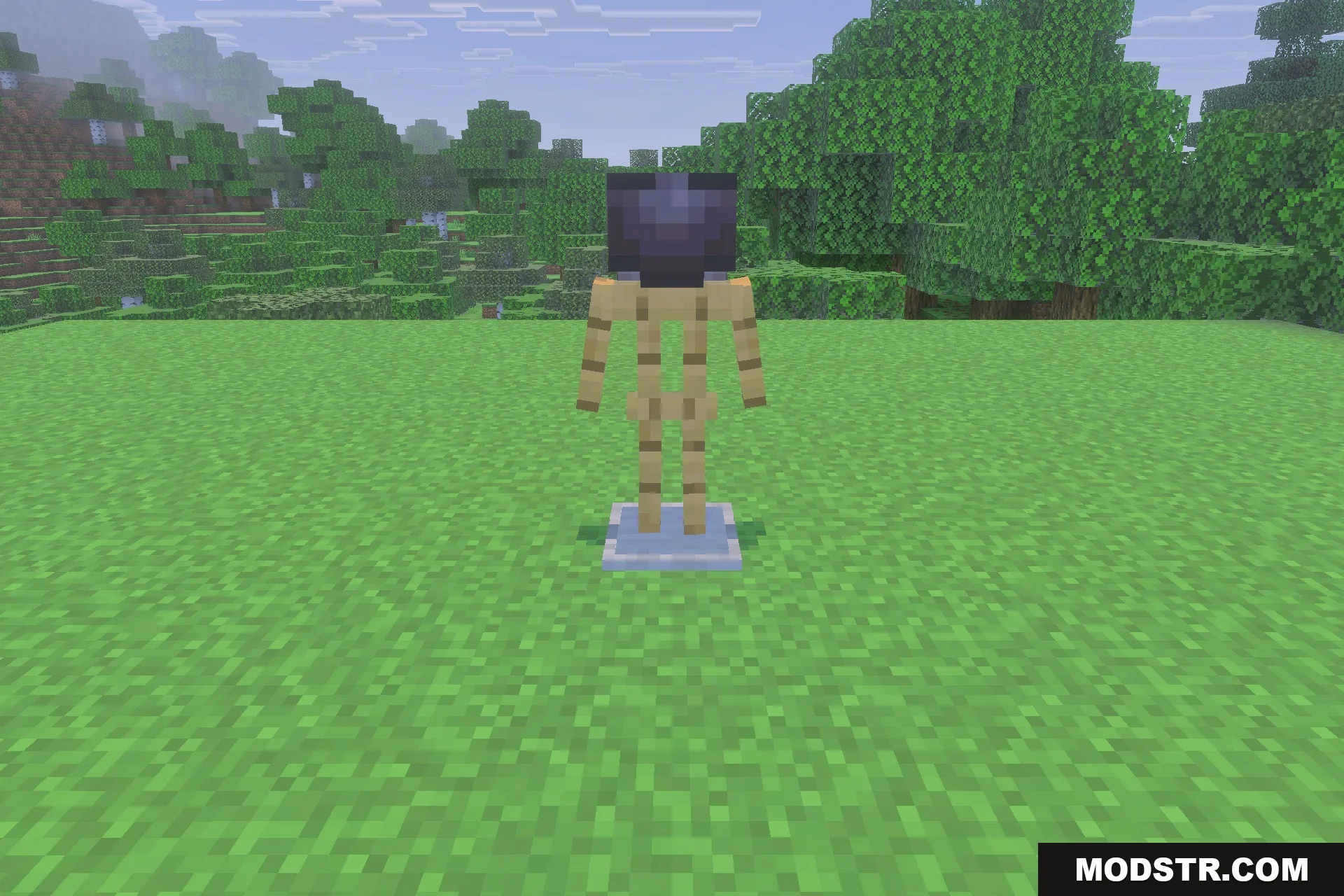 Decayed Reality V2.1 - Wither Storm Replica Addon Screenshot 3 A Minecraft armor stand wearing a dark helmet on a grassy field