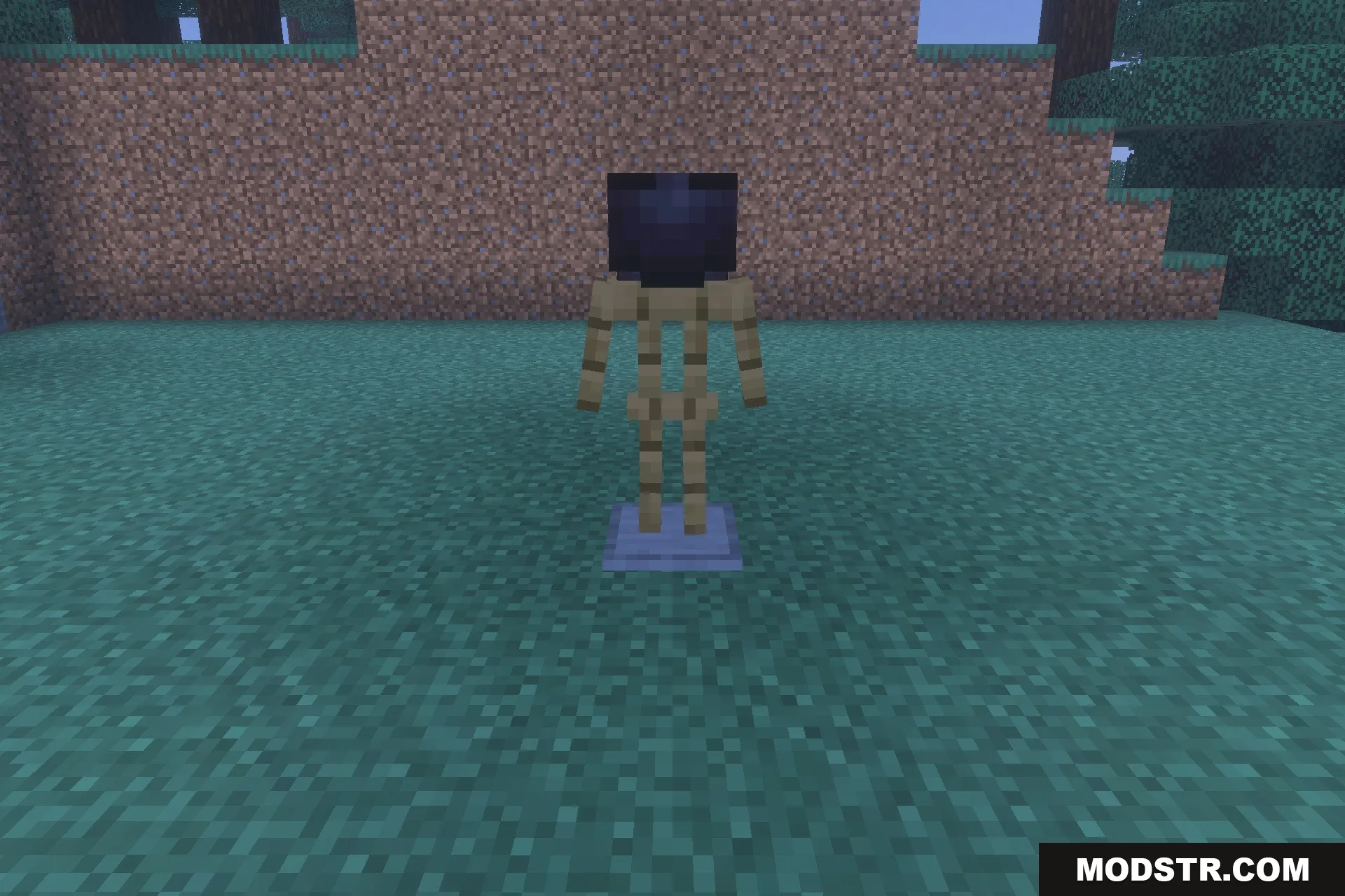 Decayed Reality V2.1 - Wither Storm Replica Addon Screenshot 1 A wooden armor stand wearing a dark helmet in front of dirt blocks