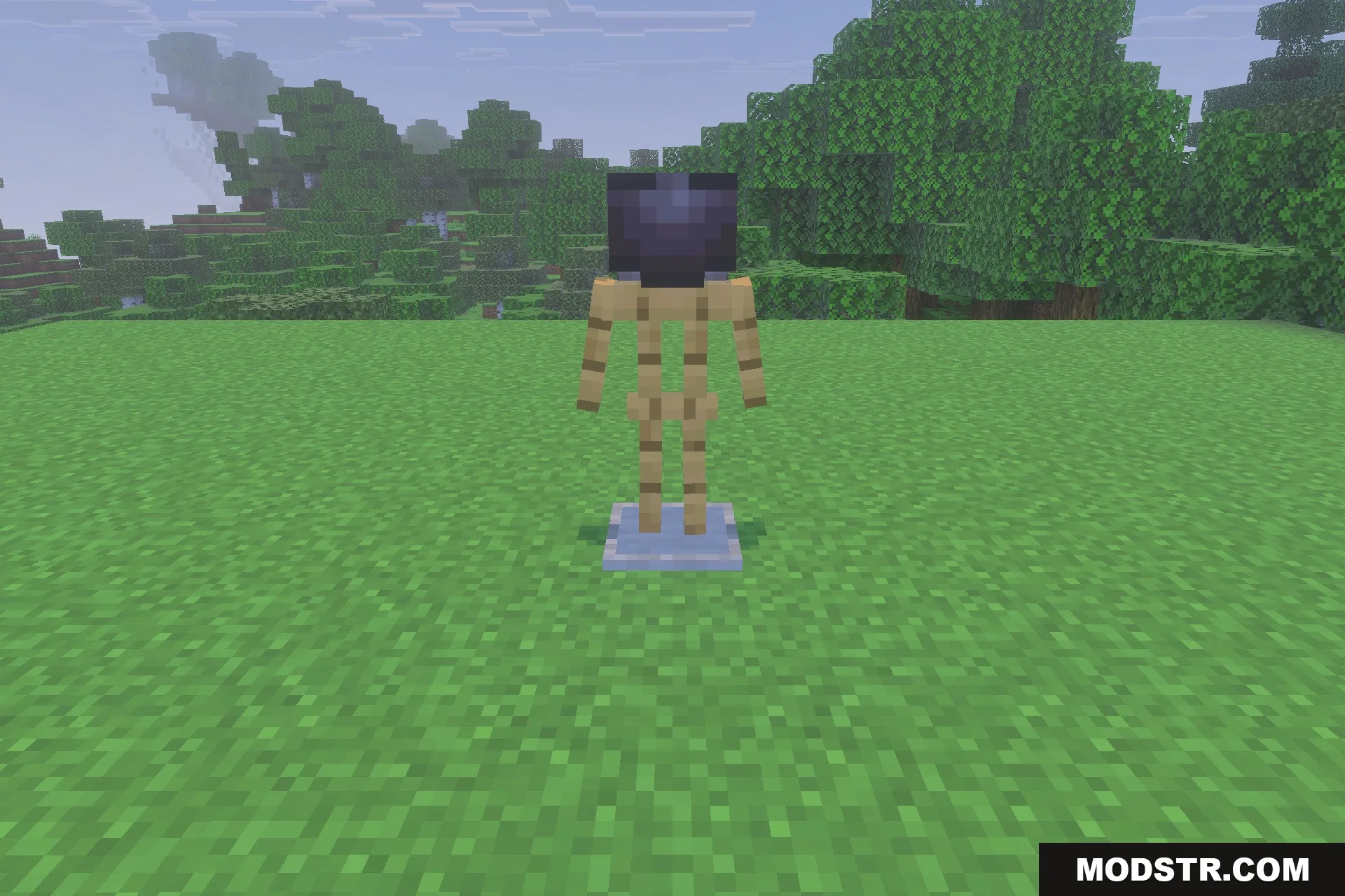 Decayed Reality V2.1 - Wither Storm Replica Addon Screenshot 2 A wooden armor stand wearing a dark helmet in a bright grassy field