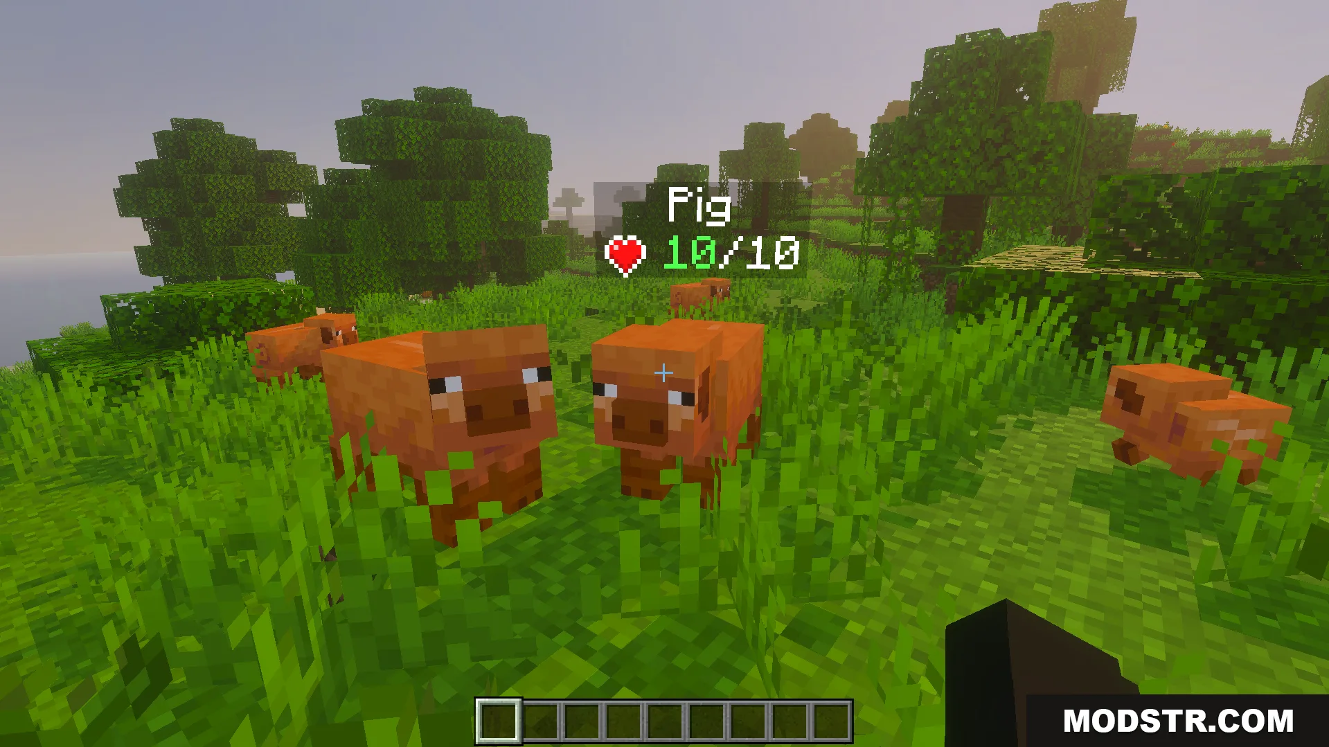 Pigs in a grassy field with a health indicator showing full health