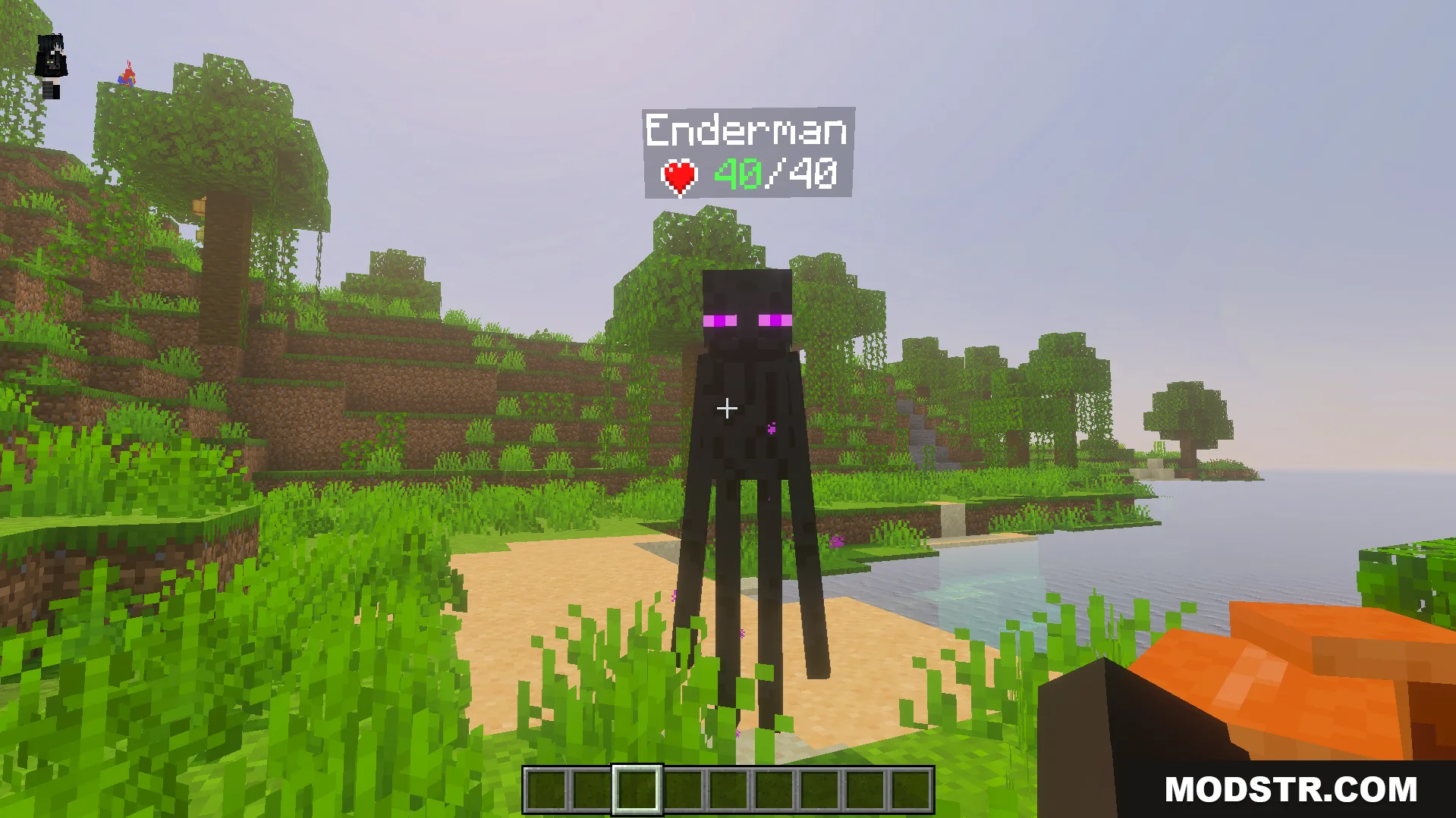 Live health indicator showing exact health points above an enderman on a beach