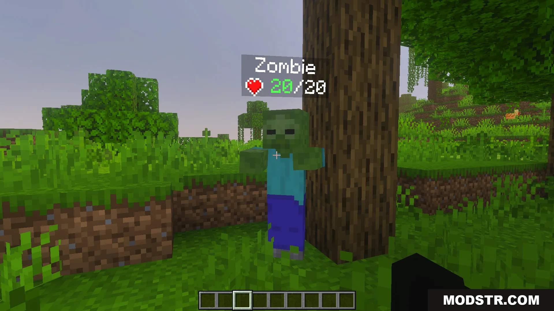DHealth And Damage Bar Addon shows a live health bar above a zombie