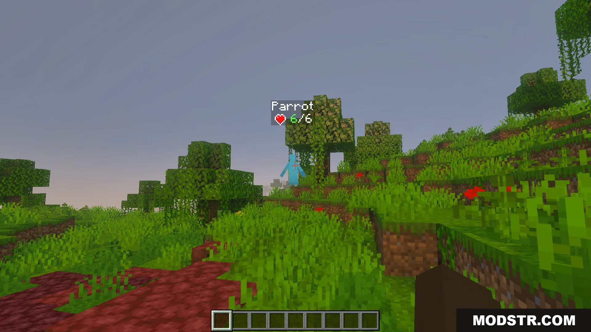 Blue parrot in a jungle biome with a health bar above its head