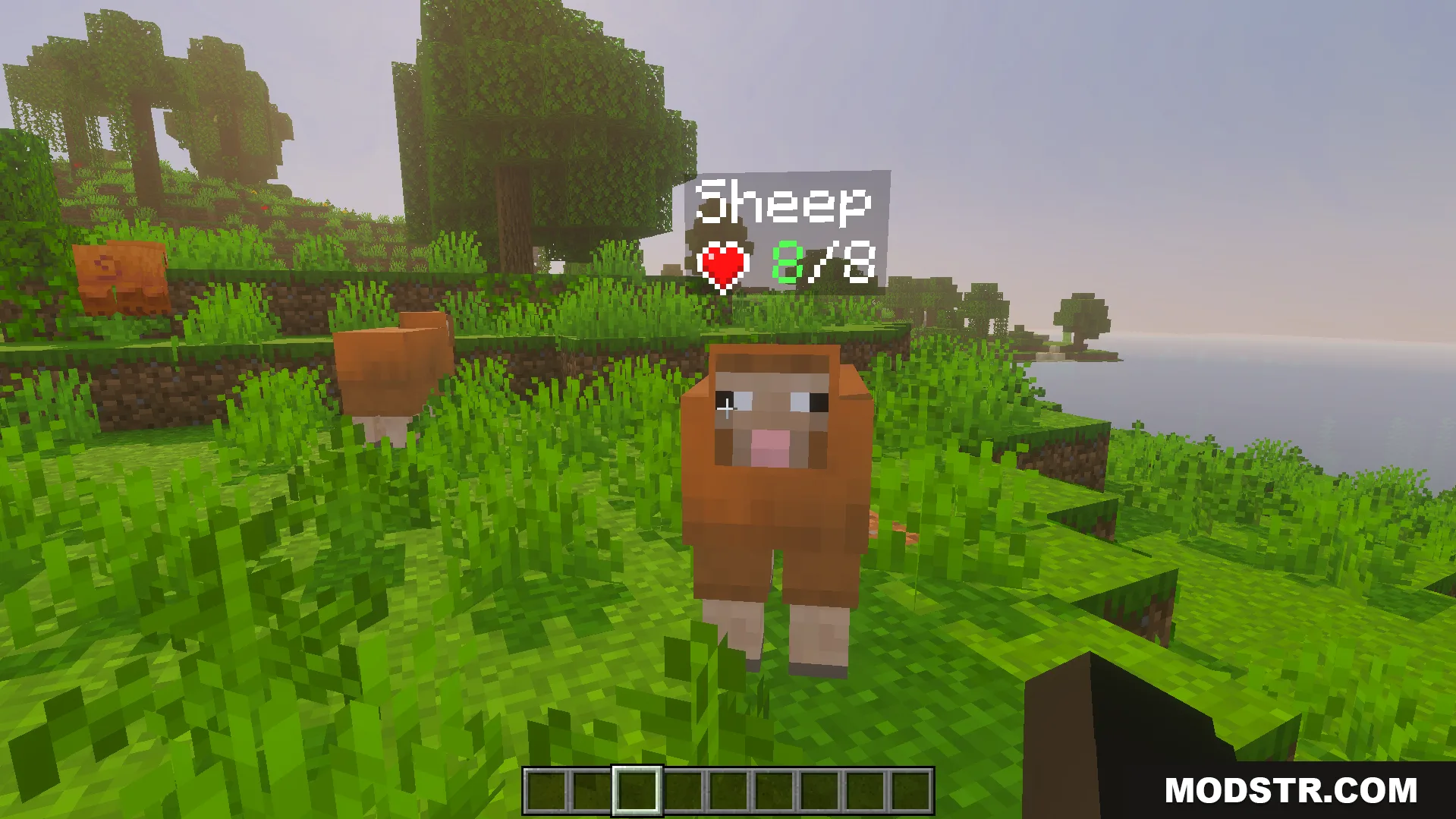 A sheep in a field with a health bar showing eight health points