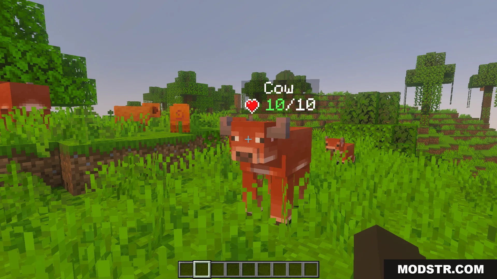 DHealth and Damage Bar Addon displays a live health indicator above a cow