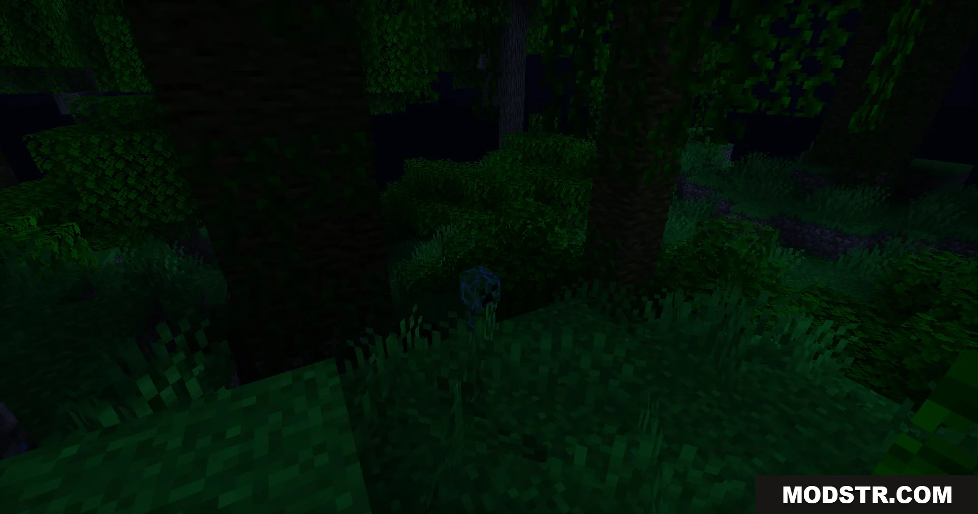 Deep shadows and dense foliage in a dark jungle forest at night