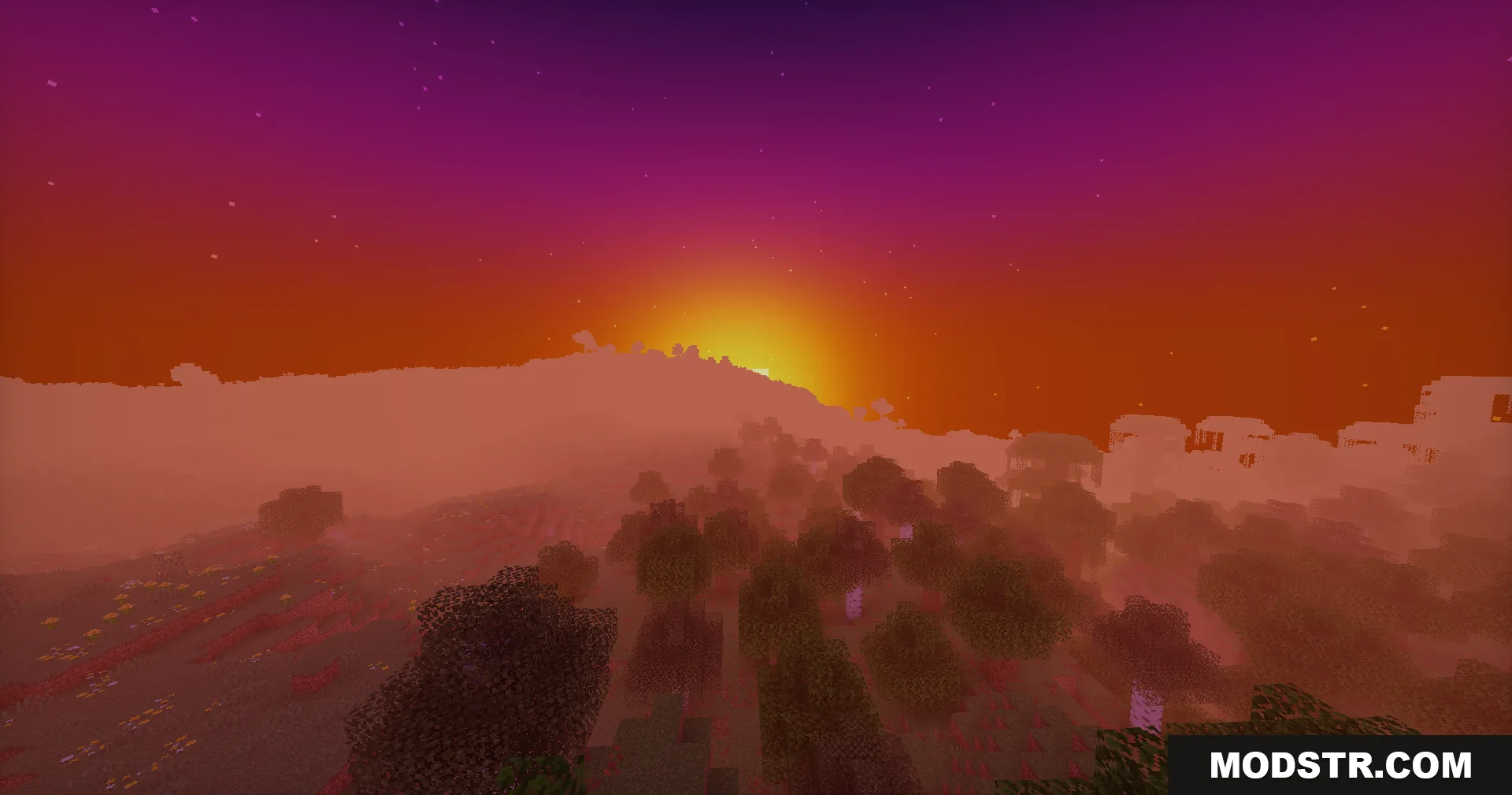 A vibrant sunset with purple and orange skies over a foggy forest landscape