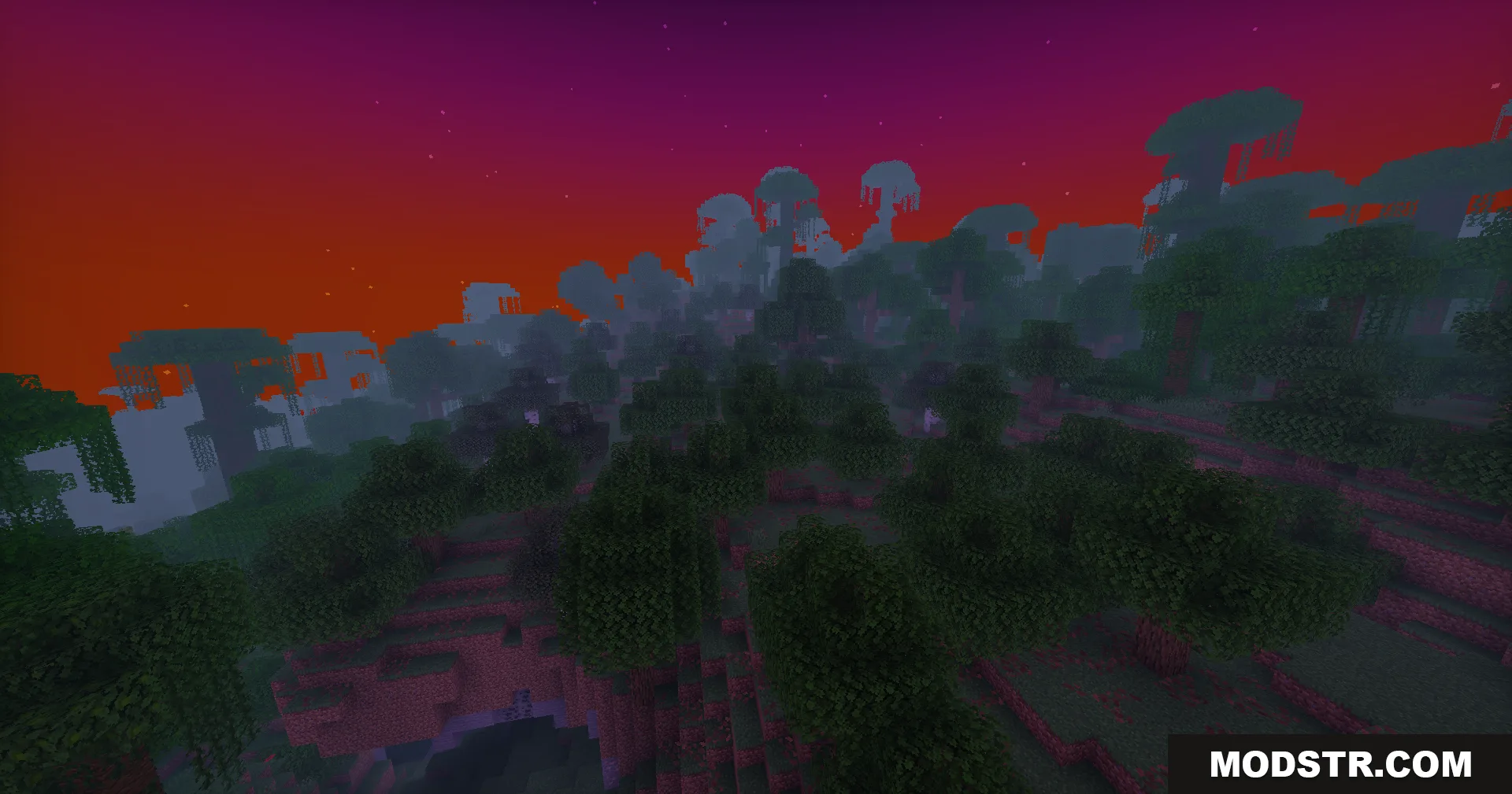 Dense jungle forest with tall trees under a colorful purple and red sky