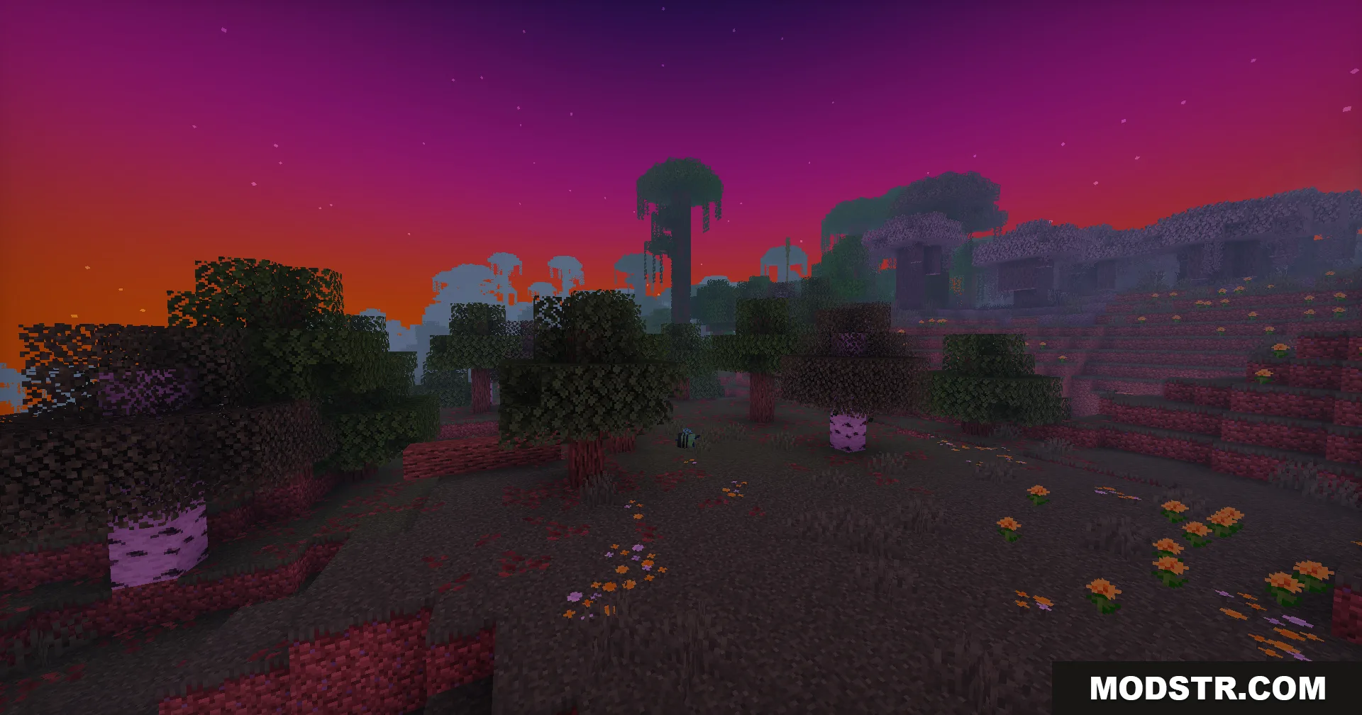 A beautiful purple sunset glows over a forest landscape with scattered flowers