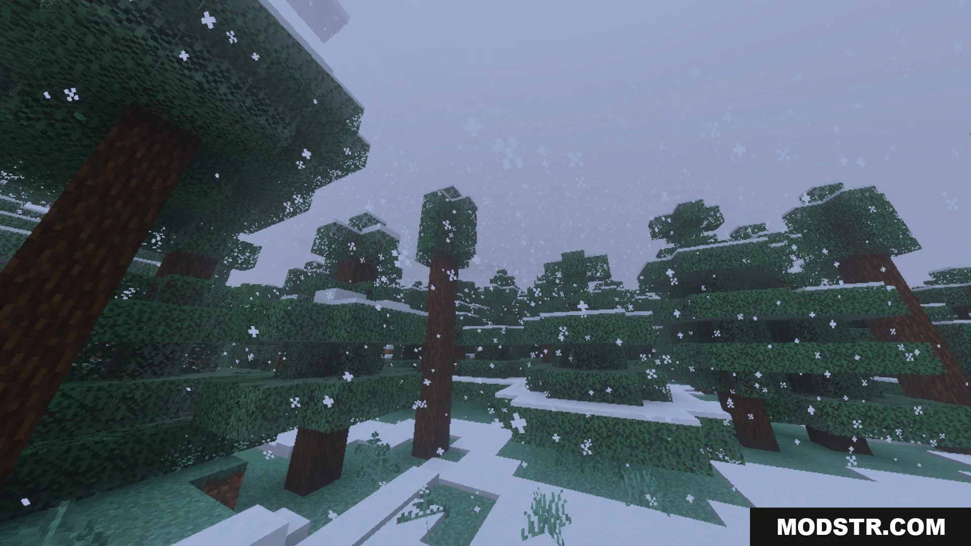 Dynamic Wave Shader Screenshot 10 Snowflakes falling over a dense spruce forest in a cold Minecraft biome