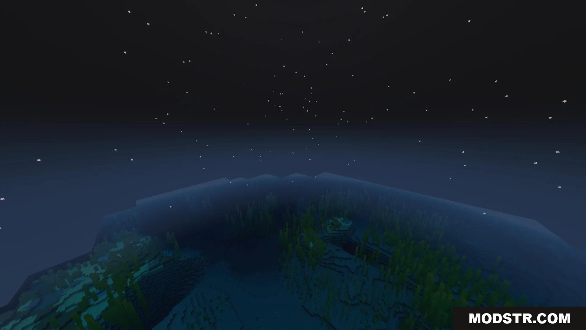 Dynamic Wave Shader Screenshot 5 Dark ocean water with kelp under a starry night sky in Minecraft
