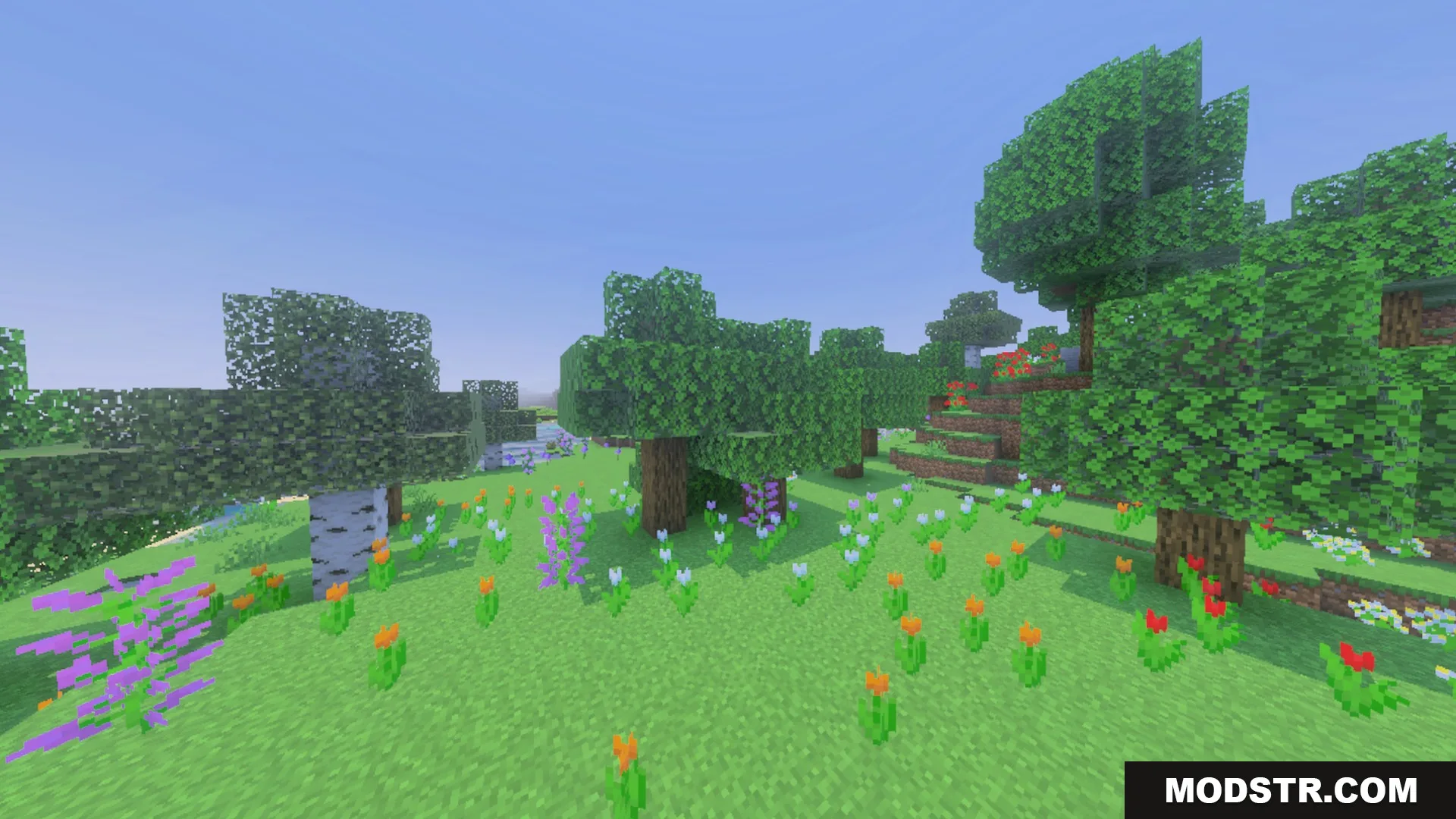 Dynamic Wave Shader Screenshot 9 A vibrant Minecraft meadow filled with colorful flowers under a clear sky