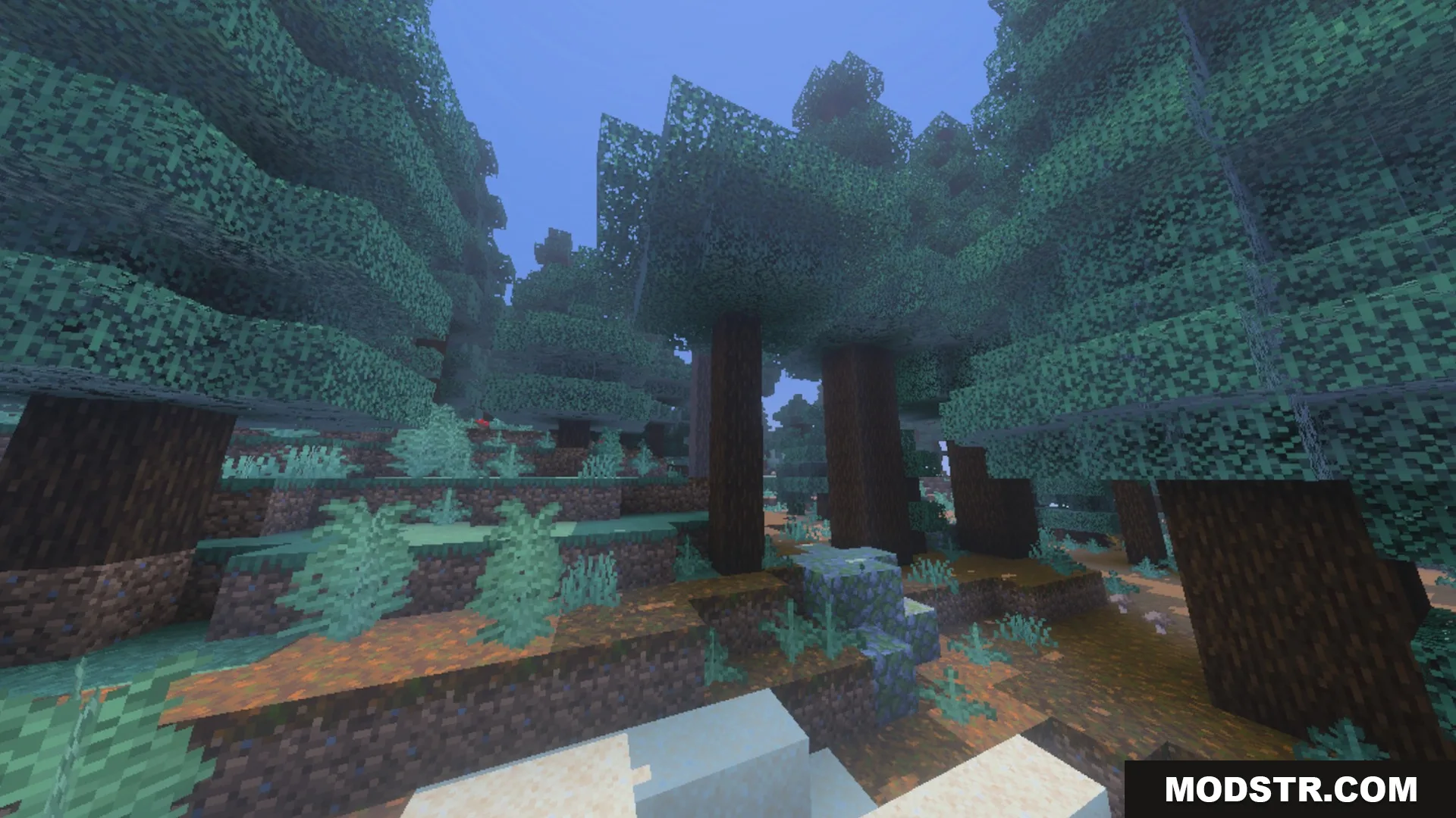Dynamic Wave Shader Screenshot 8 A dense spruce forest biome with tall trees and mossy ground