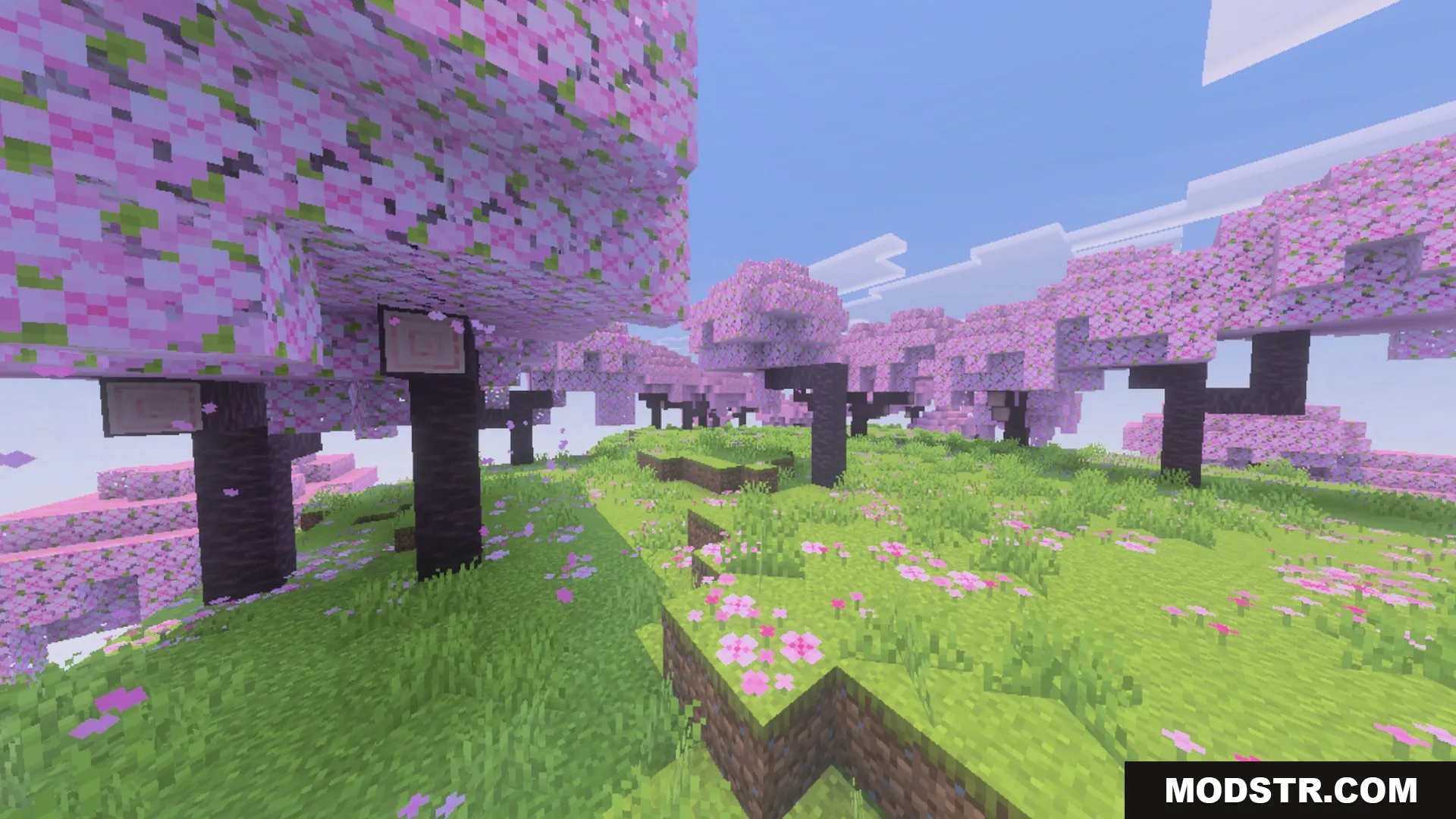 Dynamic Wave Shader Screenshot 7 Vibrant pink cherry blossom trees growing on a lush green hillside
