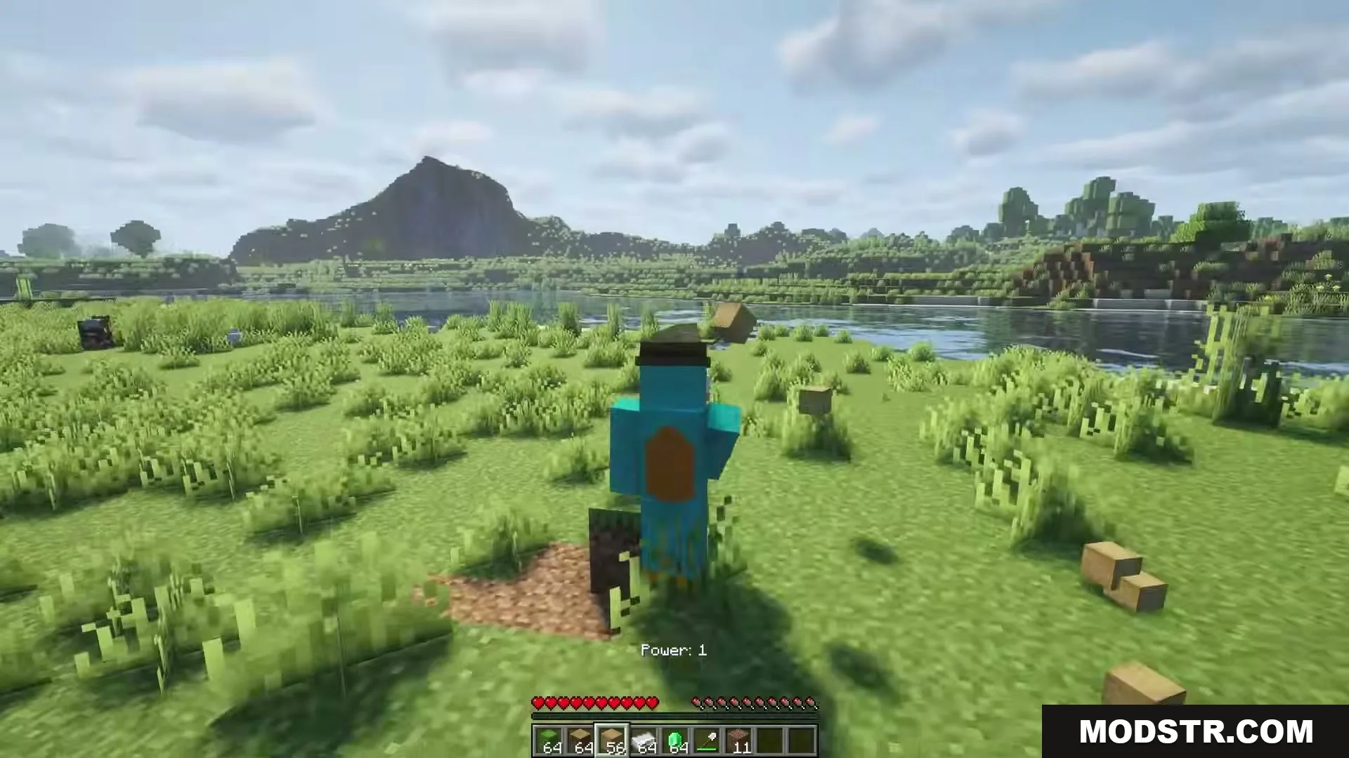 Eating Animations Mod Screenshot 2 A custom character skin standing in a grassy field near a river