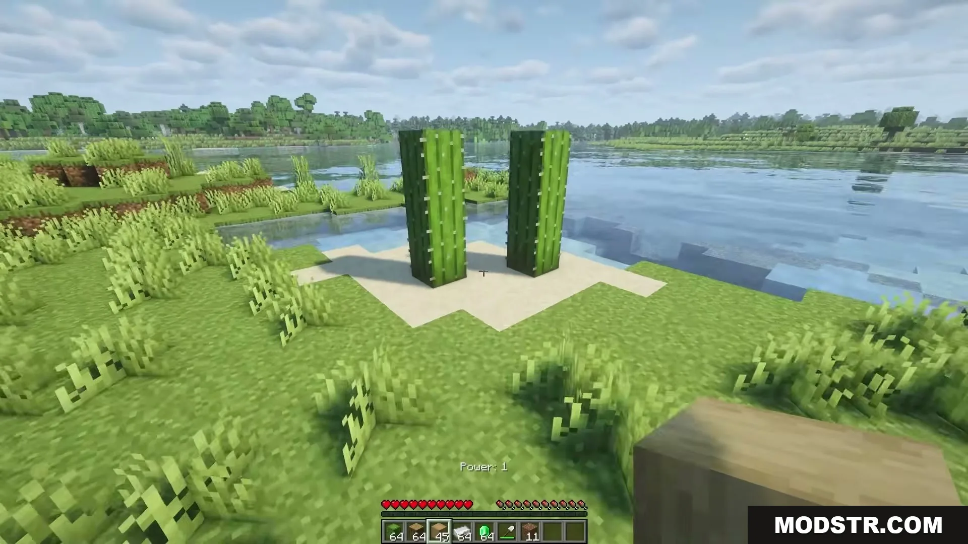 Eating Animations Mod Screenshot 5 A player stands near two tall cacti on a sand patch by water