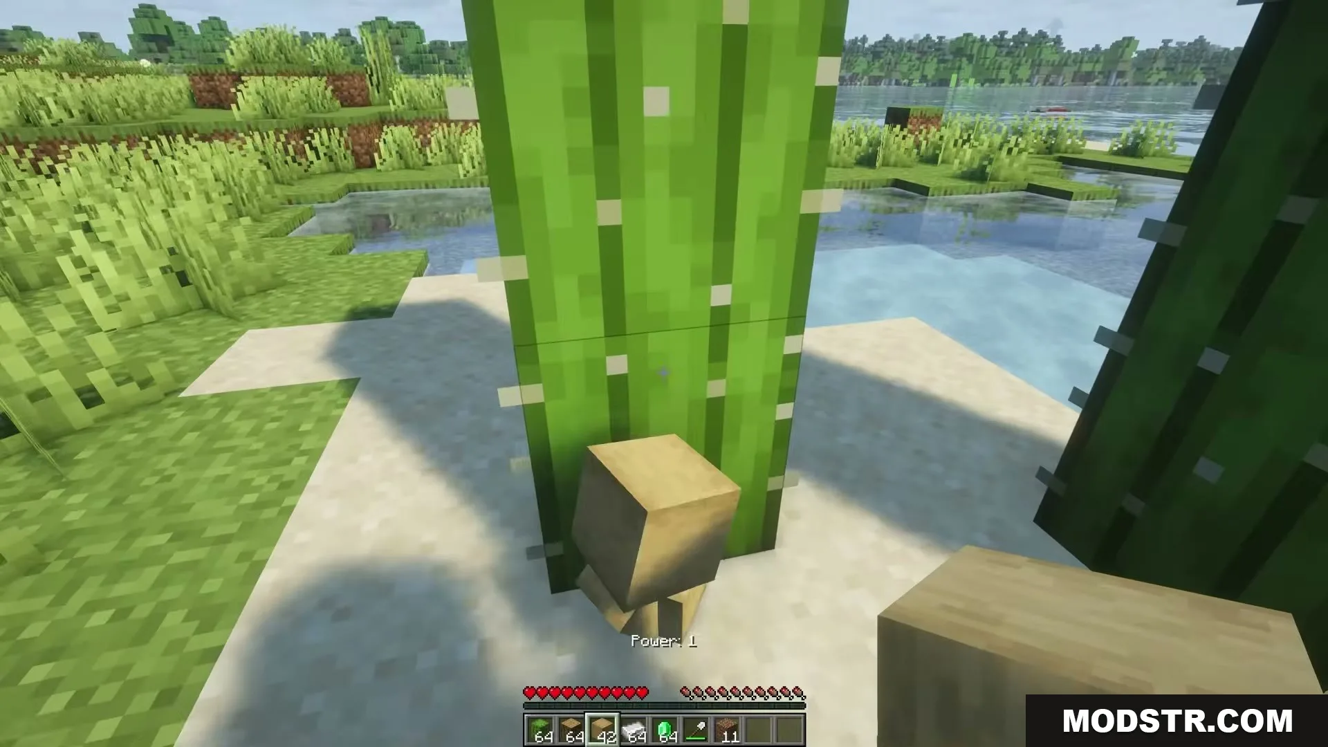 Eating Animations Mod Screenshot 6 Player eats food showing a visual bite mark from Eating Animations Mod