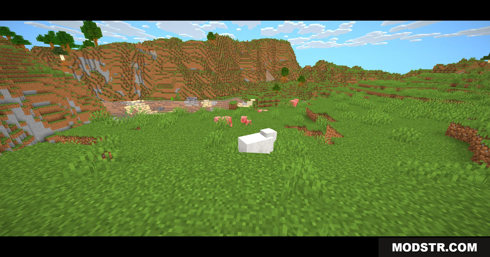 A white sheep and pink pigs graze in a field with cinematic bars