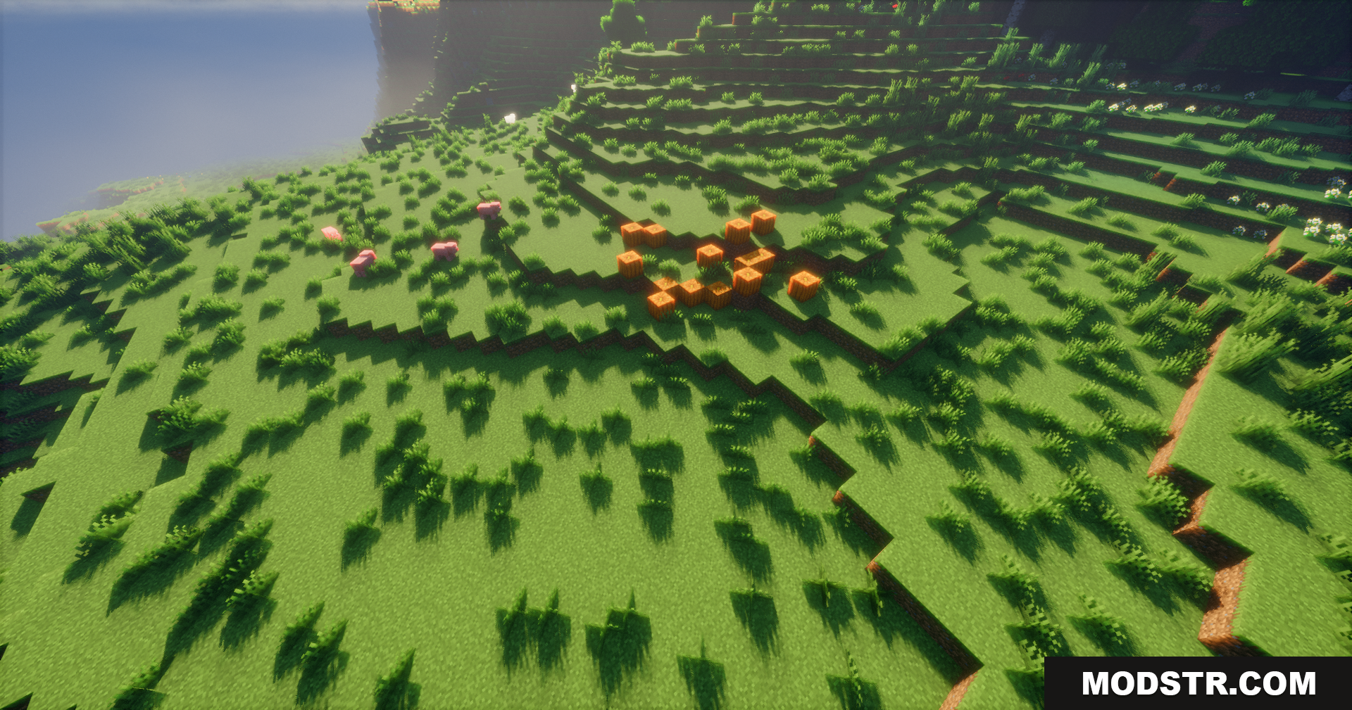 Emanrux Shaders Screenshot 14 Bright sunlight and dynamic shadows on a grassy hill with pumpkins
