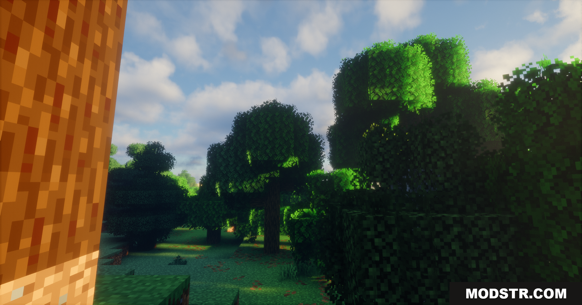 Emanrux Shaders Screenshot 3 Bright sun and realistic clouds viewed through forest tree canopy