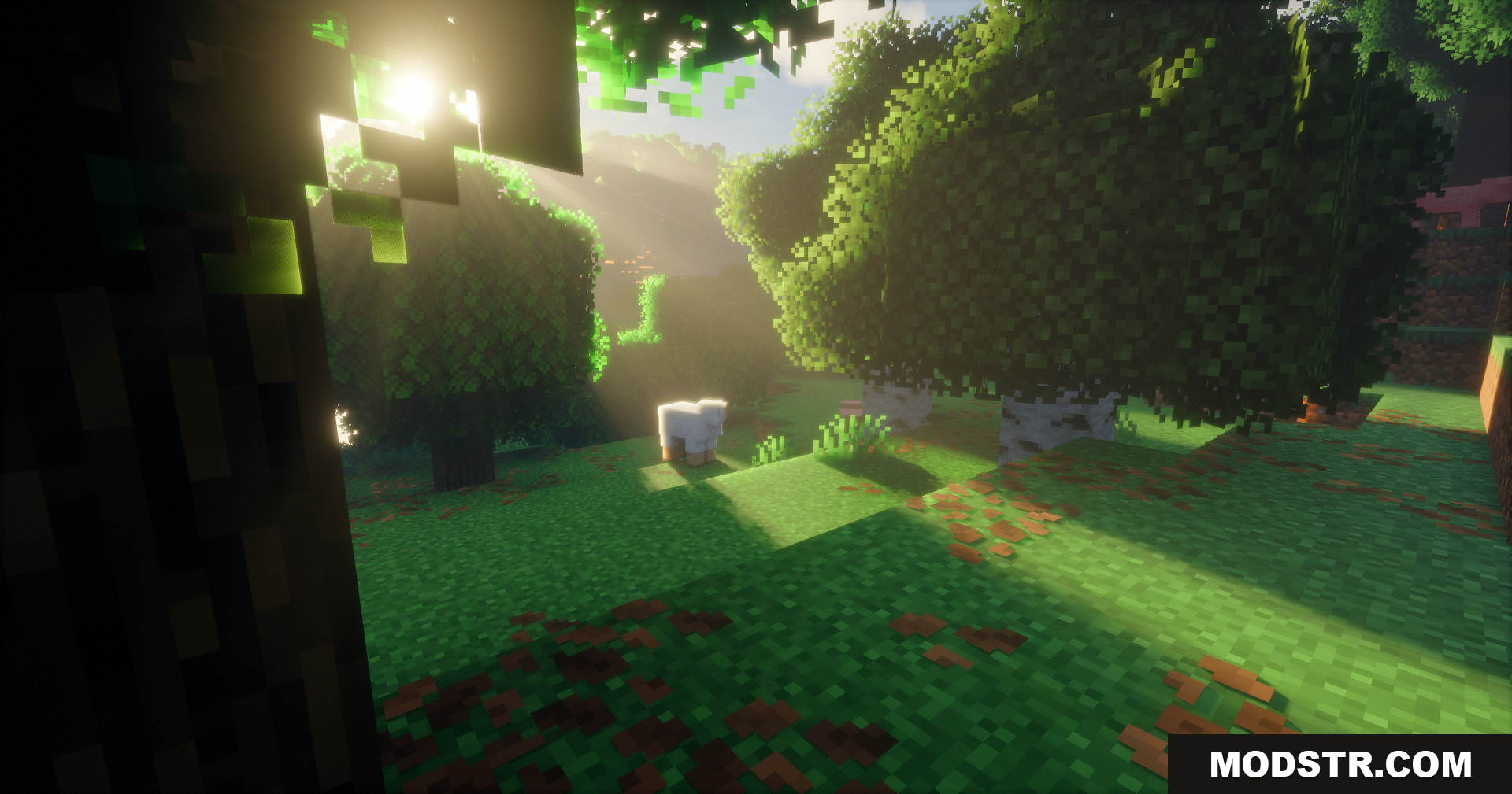 Emanrux Shaders Screenshot 4 Detailed lighting and deep shadows on trees in a forest