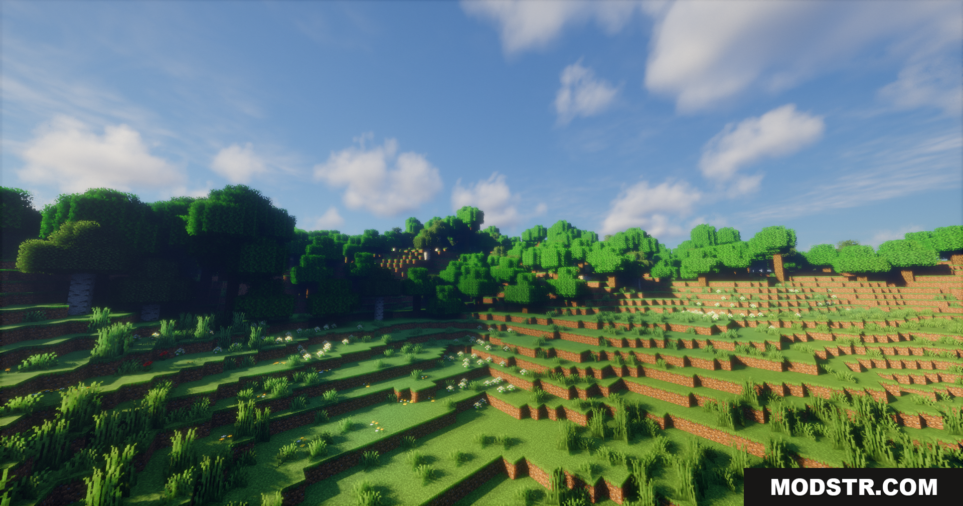 Emanrux Shaders Screenshot 15 Emanrux Shaders displaying vibrant lighting and realistic clouds over a forest