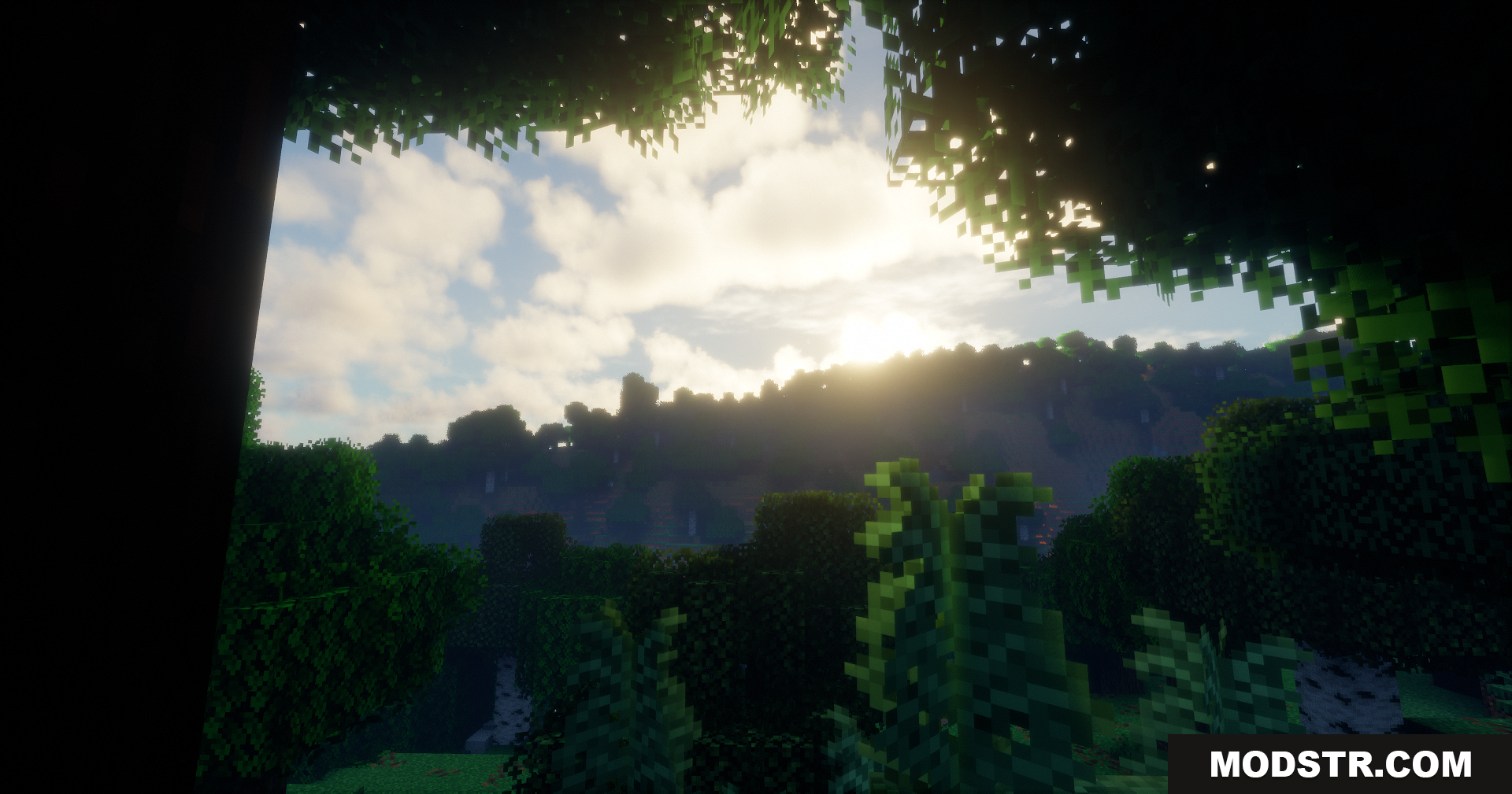 Emanrux Shaders Screenshot 2 Sunlight filtering through dense forest trees illuminating a sheep
