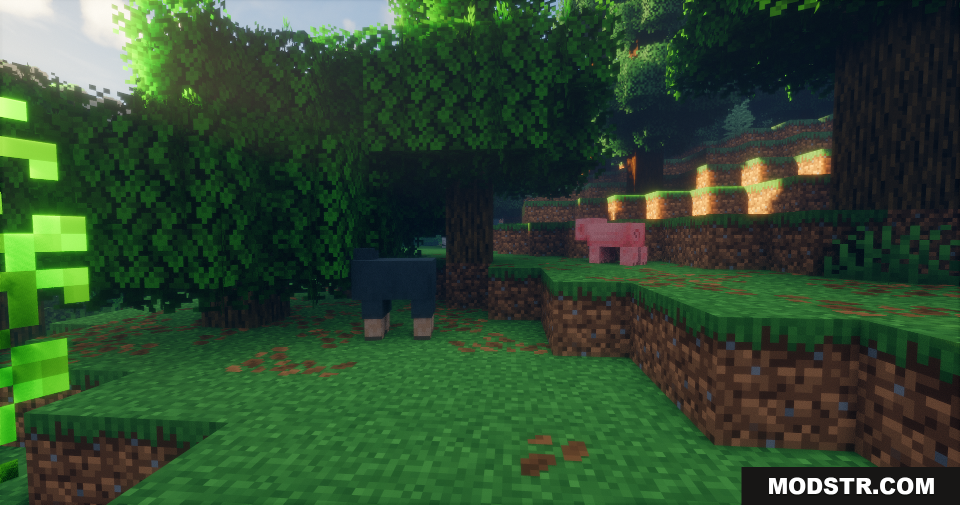 Emanrux Shaders Screenshot 6 Black sheep and pig resting in shaded forest area under trees