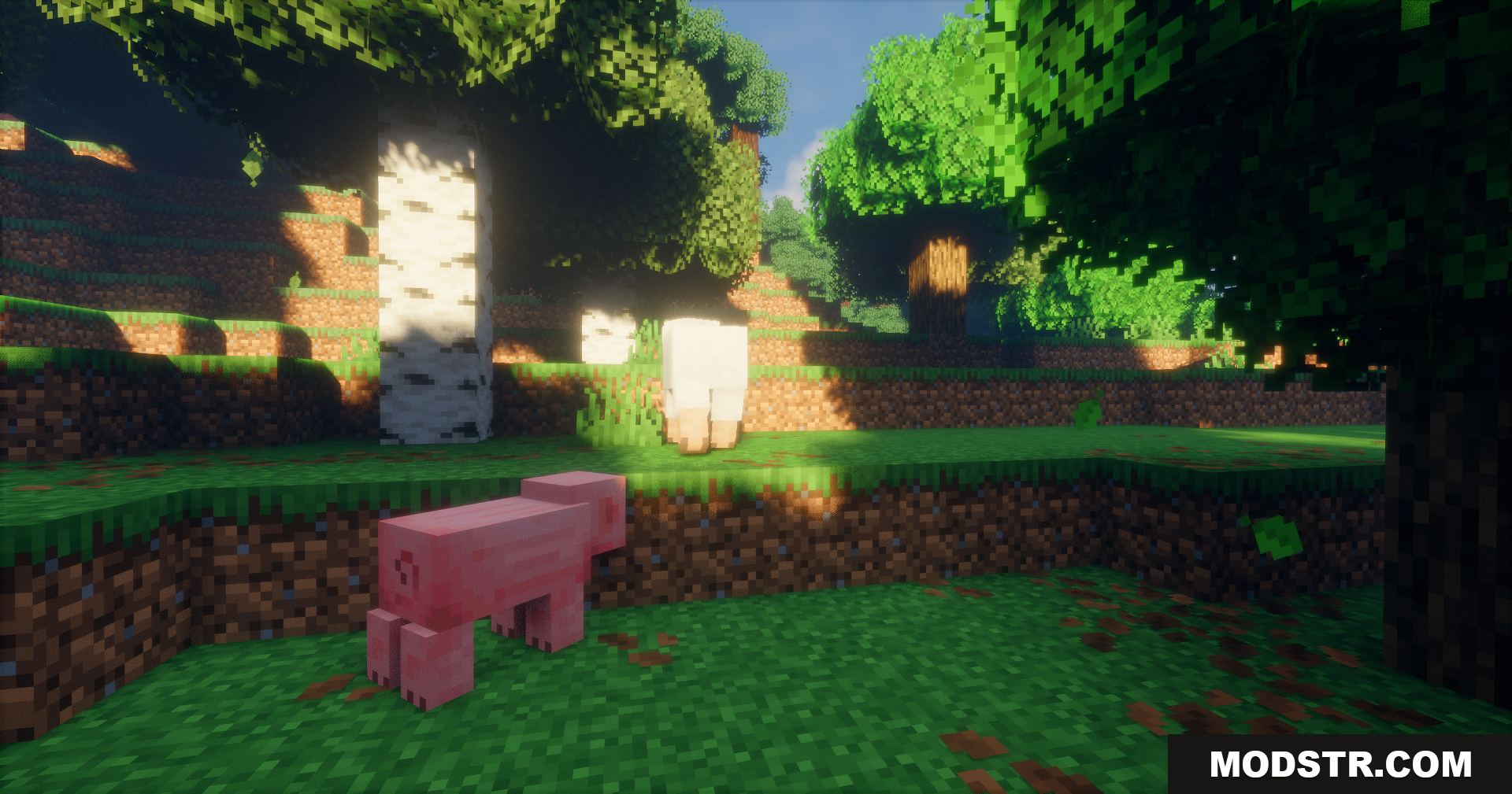 Emanrux Shaders Screenshot 5 Pig and sheep standing in a grassy forest with bright sunlight