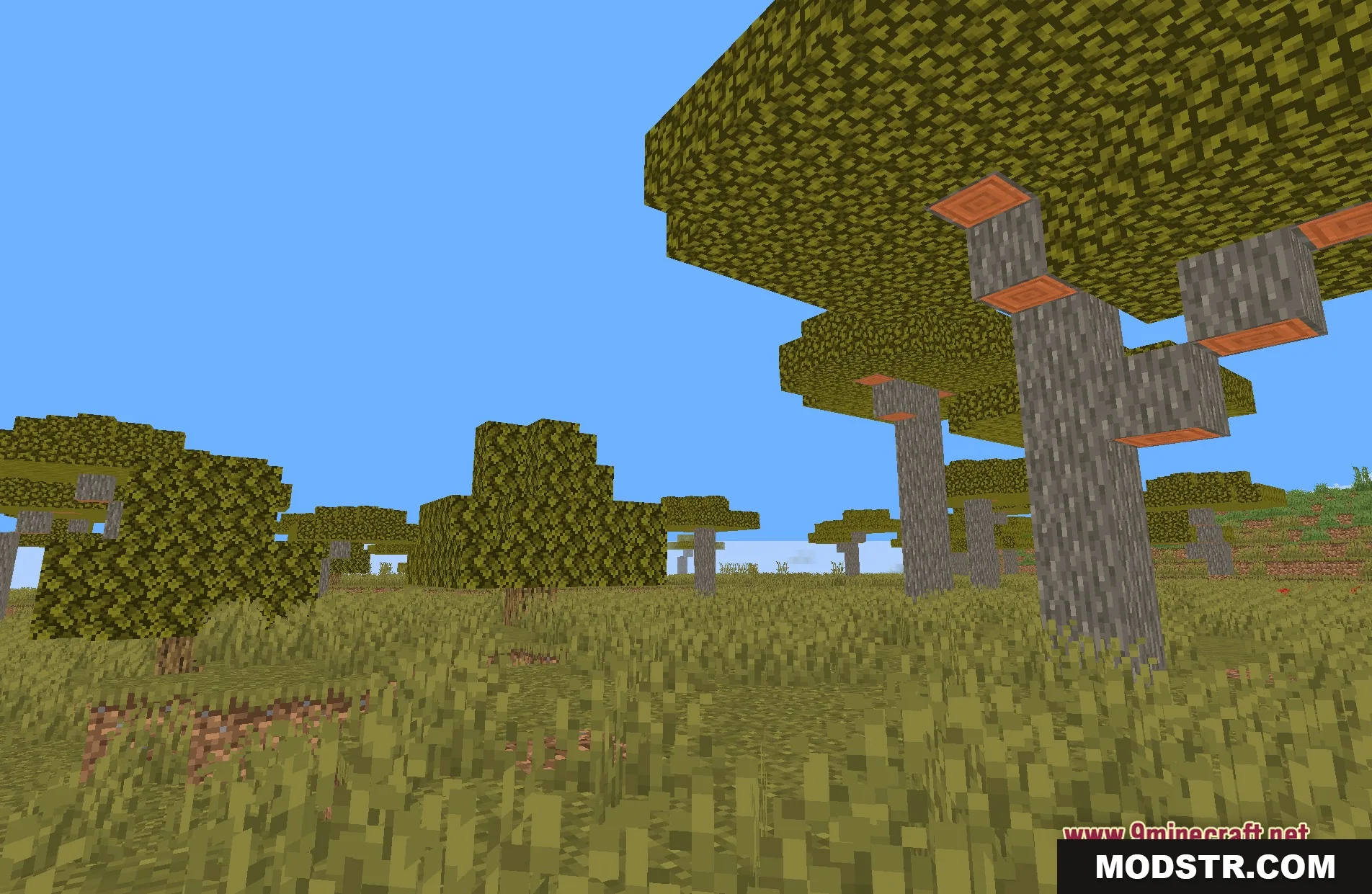 Emissive Twitch Cape Shaders Screenshot 3