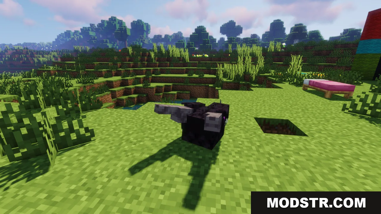 Ender Dragon Reborn Resource Pack Screenshot 10 A small black wyvern creature standing on the grass in a Minecraft world