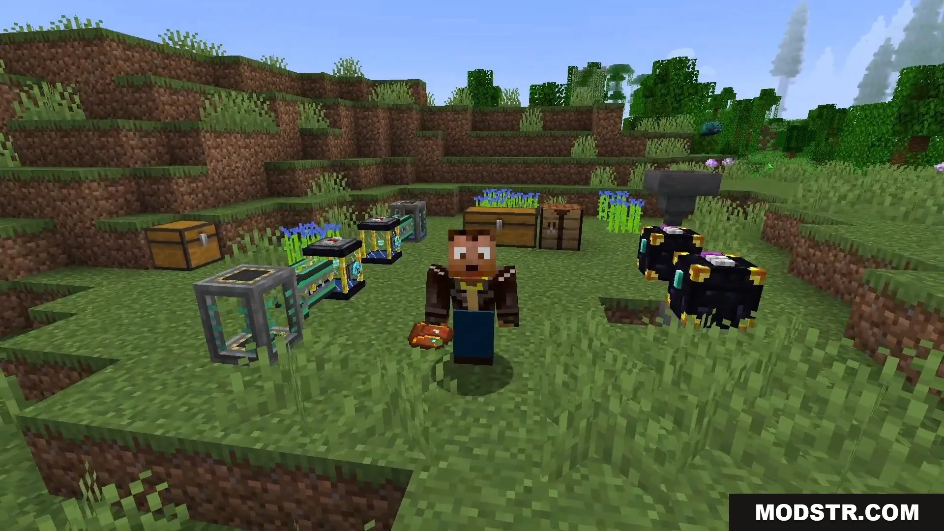 Player character standing with Ender Tanks and Ender Chests in a grassy field