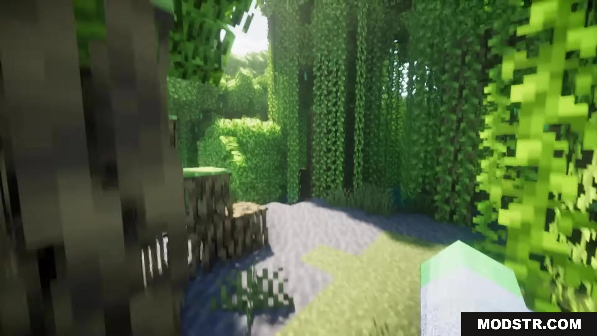 Enhanced Audio Ambience Sound Pack Resource Pack Screenshot 6 Sunlight filtering through lush green vines in a dense Minecraft jungle biome