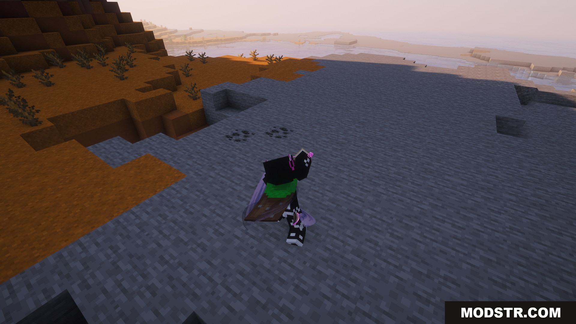 EpicFight Awaken Mod Screenshot 10 Player with Darknight Pursuiter blades sheathed on their back