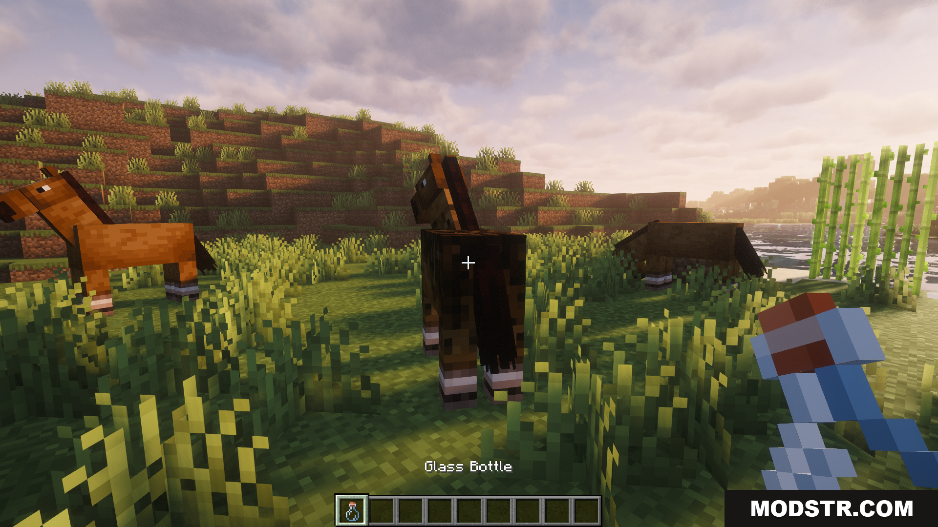 Estrogen Mod Screenshot 3 Player holding a glass bottle in front of a horse