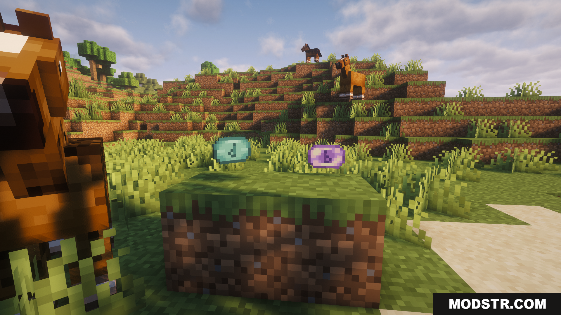 Estrogen Mod Screenshot 5 Special pills from the Estrogen Mod on a grass block