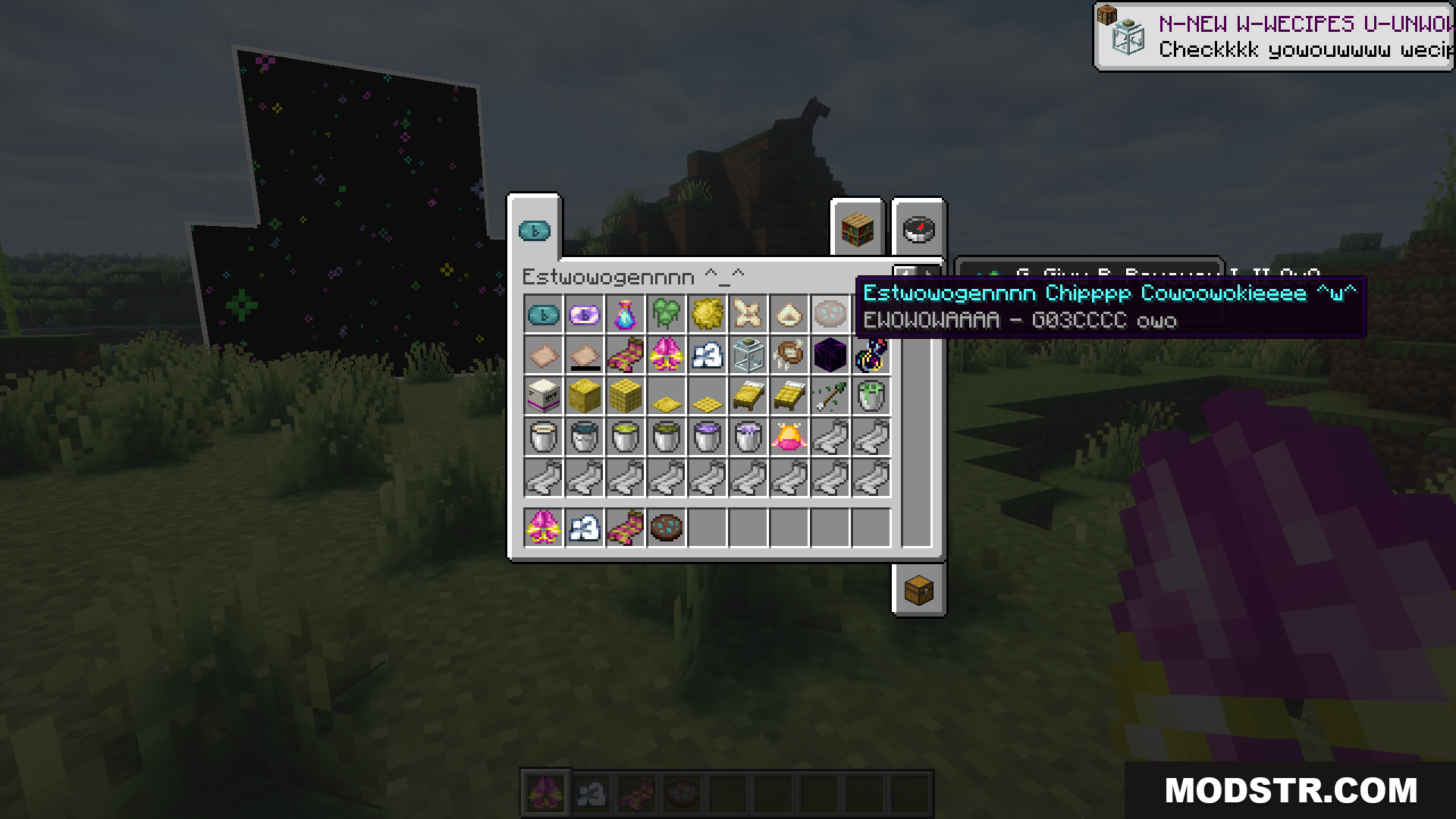 Estrogen Mod Screenshot 10 Viewing a Chip Cookie in the custom modded inventory