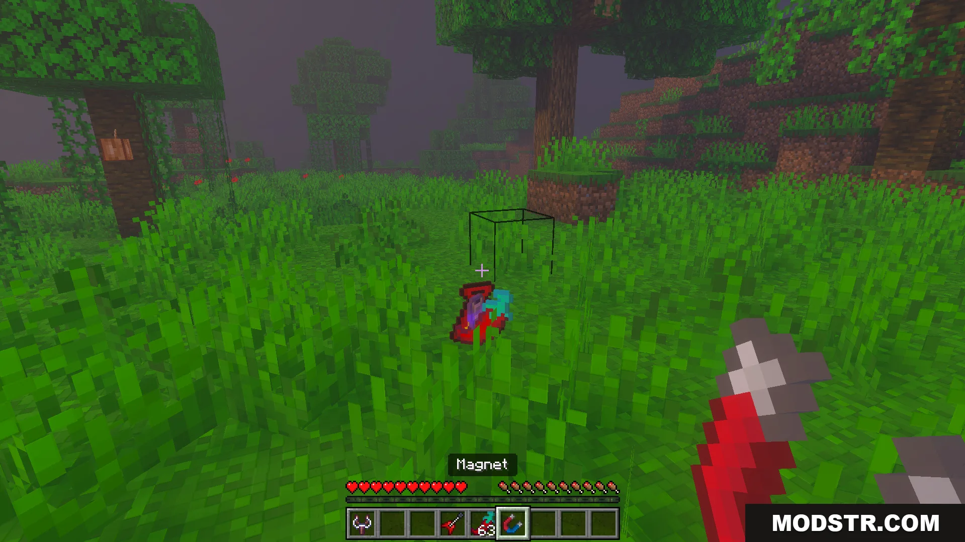 Euforias Items Addon Screenshot 3 Player holding a red magnet item in a grassy area