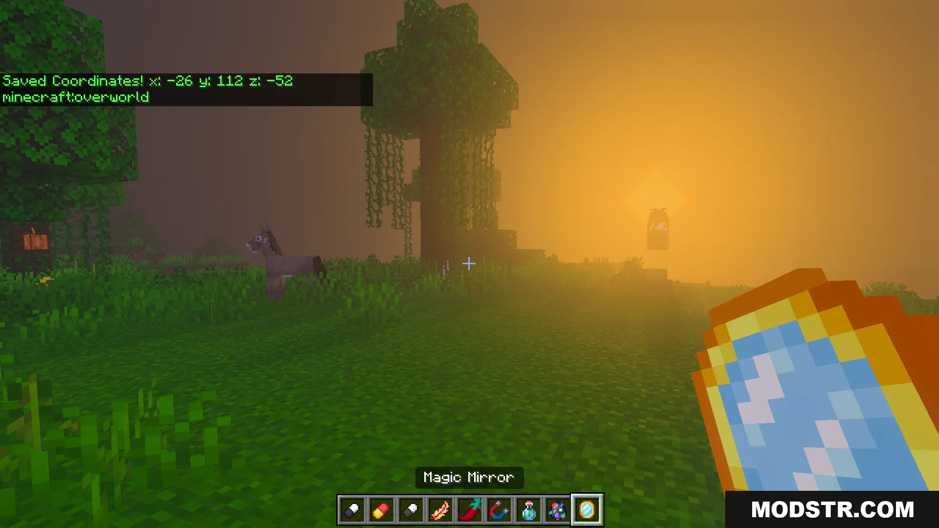 Euforias Items Addon Screenshot 9 Player holding Magic Mirror item in grassy area at sunset