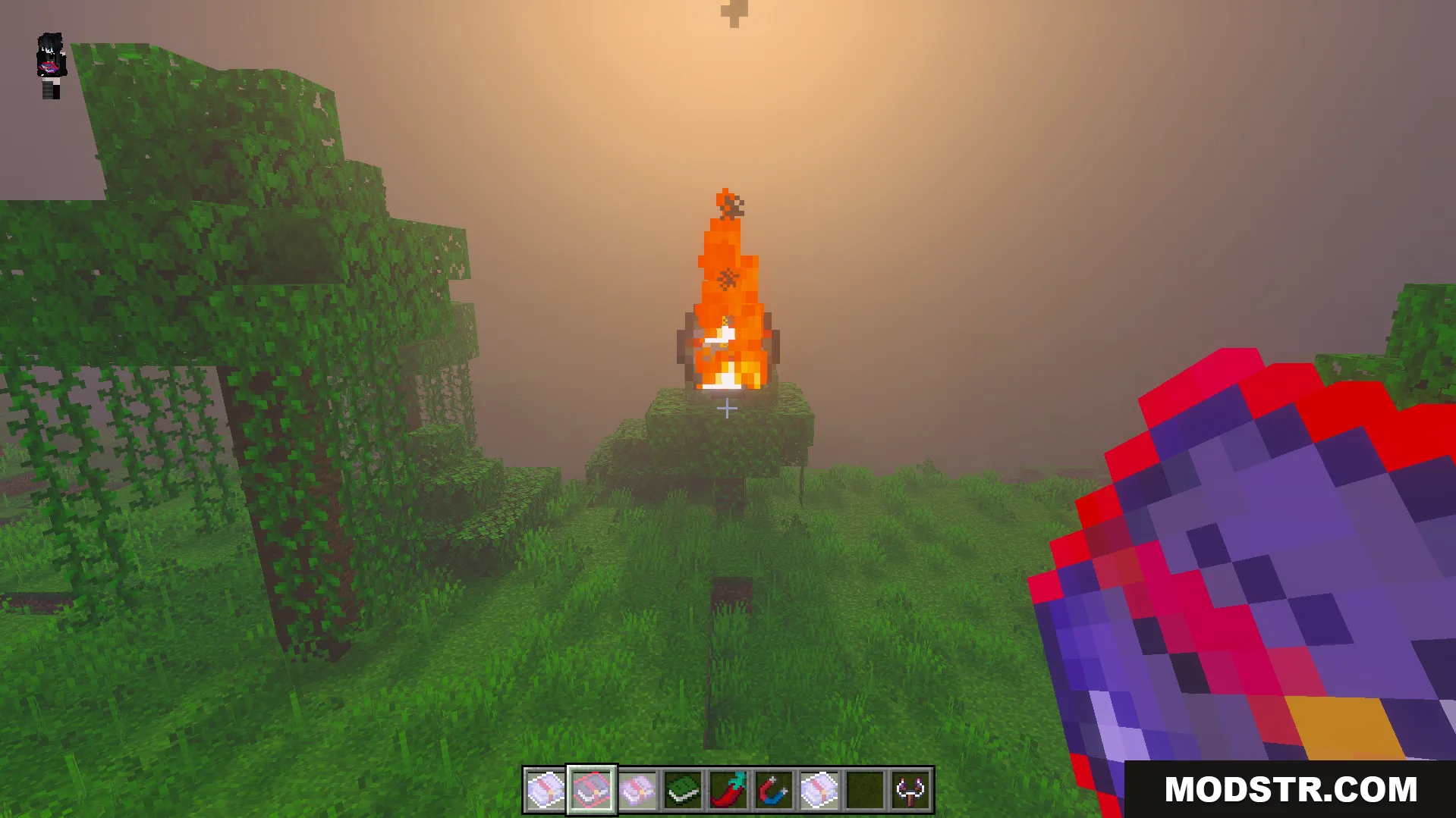 Euforias Items Addon Screenshot 6 Player holding red magic book with fire effect on tree