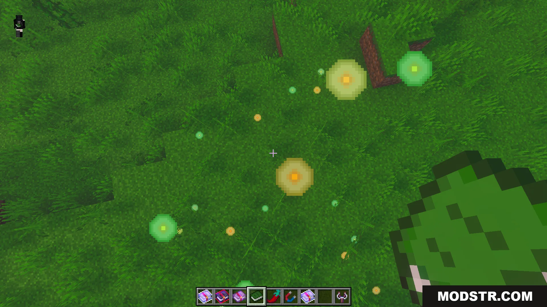 Euforias Items Addon Screenshot 4 Player looking at glowing orbs on the grass