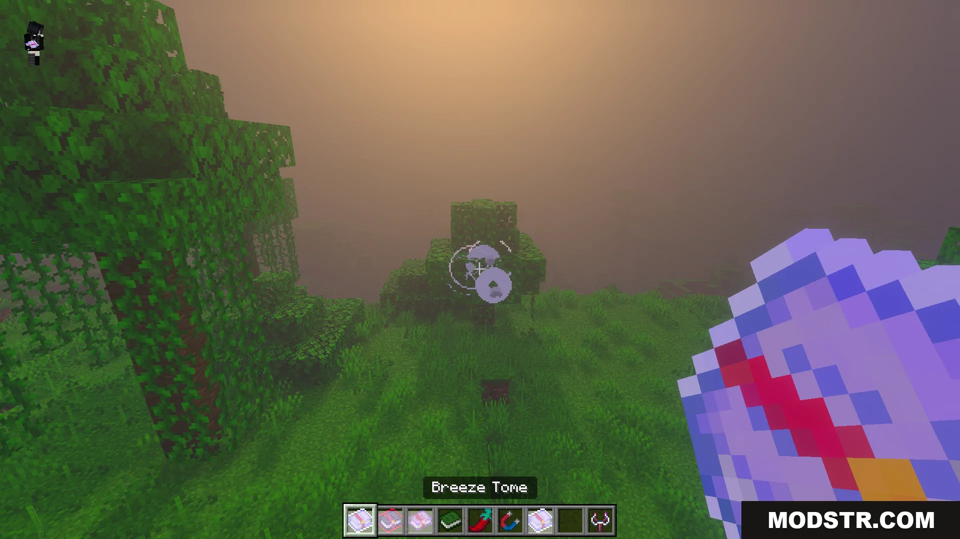 Euforias Items Addon Screenshot 5 Player holding Breeze Tome item with magic effect on tree