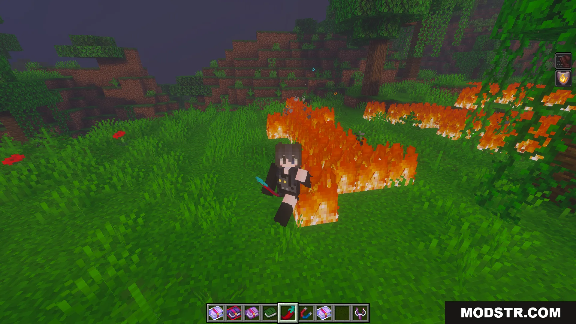 Euforias Items Addon Screenshot 8 Player using a red chili pepper item to create fire on the grass