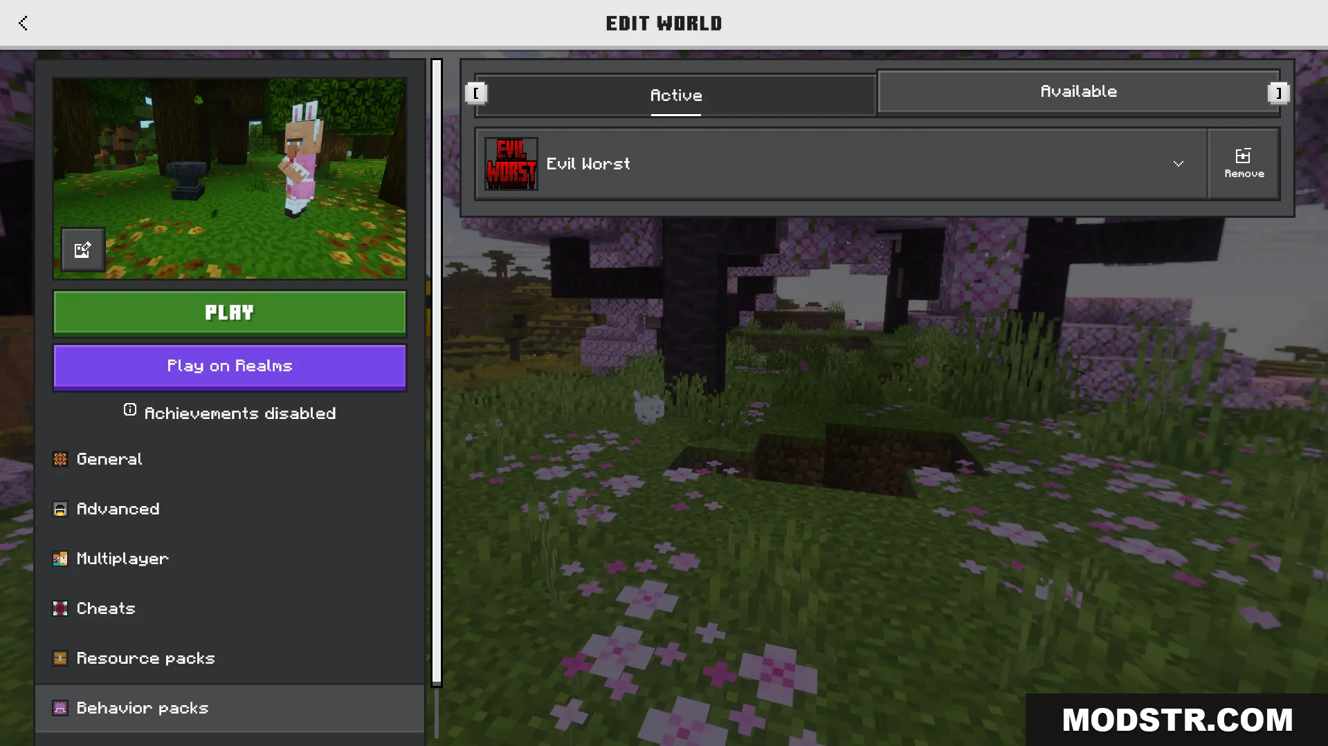 Minecraft edit world screen showing active behavior packs in the settings menu