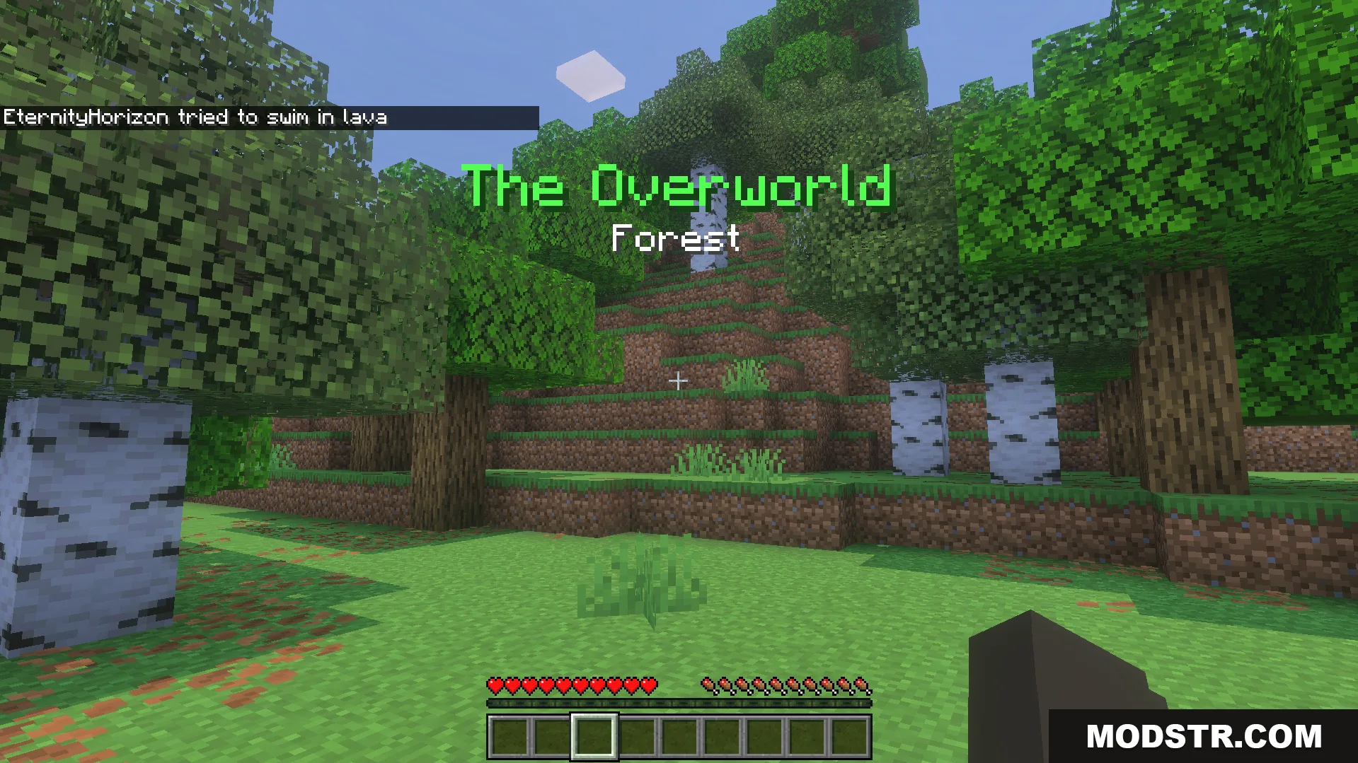 Explorers Title Addon Screenshot 6 The Overworld Forest title appears on screen while walking through birch trees
