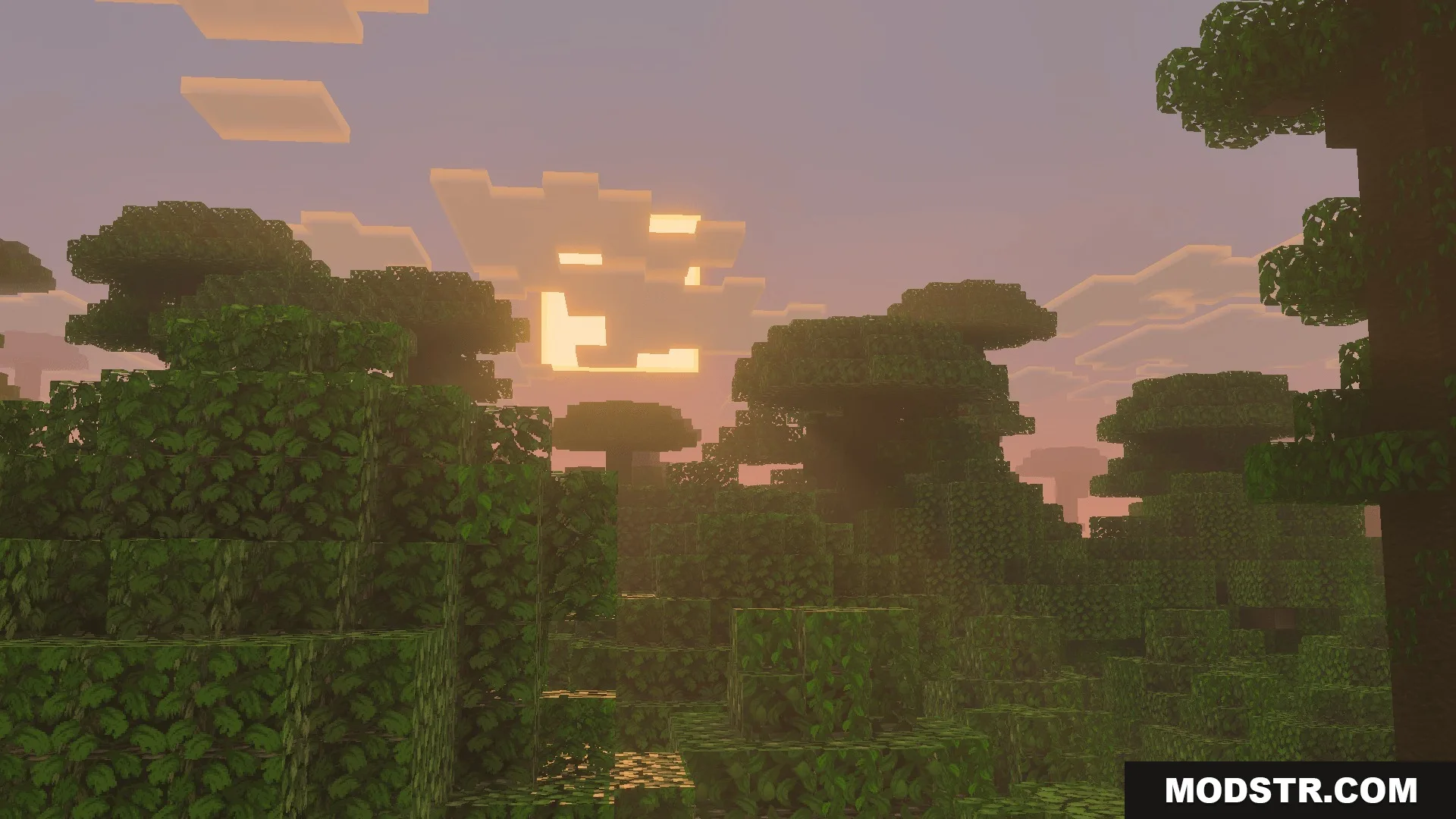 Detailed green leaves in a jungle biome under a glowing sunset sky