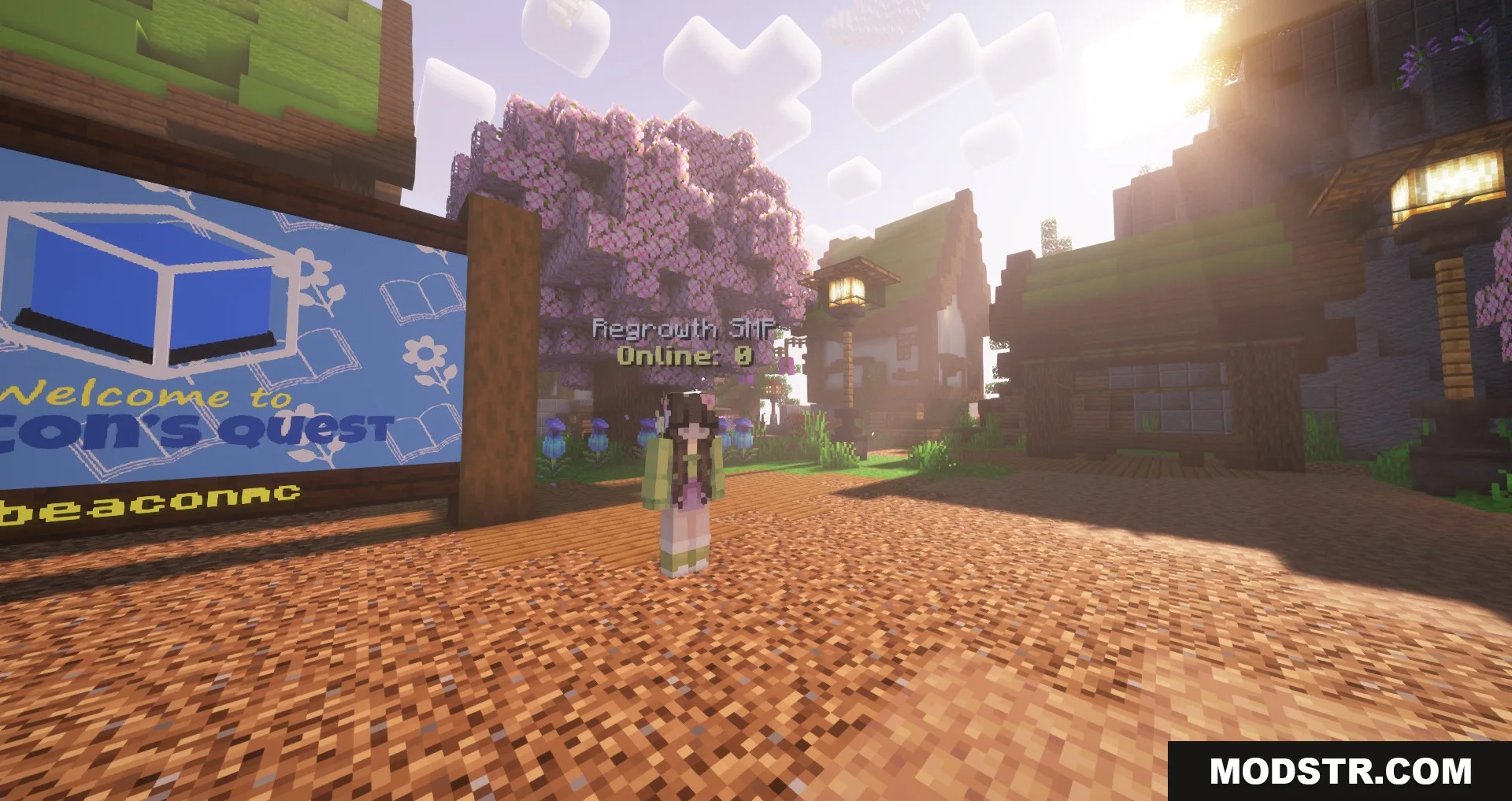 Fancy Npcs Plugin Screenshot 2 Player character standing in a bright village square near a cherry blossom tree