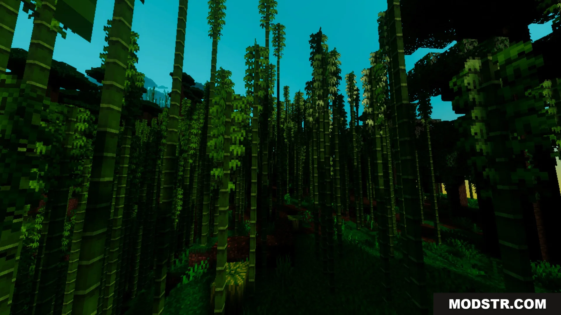 Fantasia Shader Screenshot 10 Dense bamboo stalks reach toward a bright blue sky in a forest
